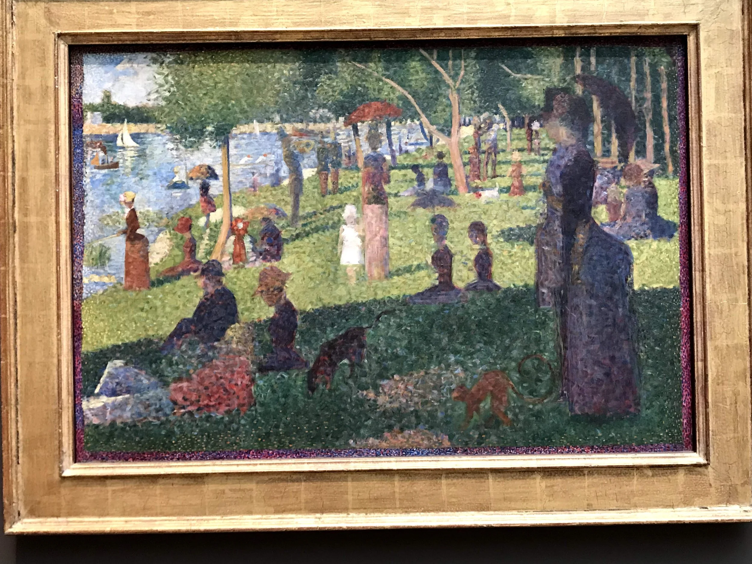 IMG_8360.jpeg