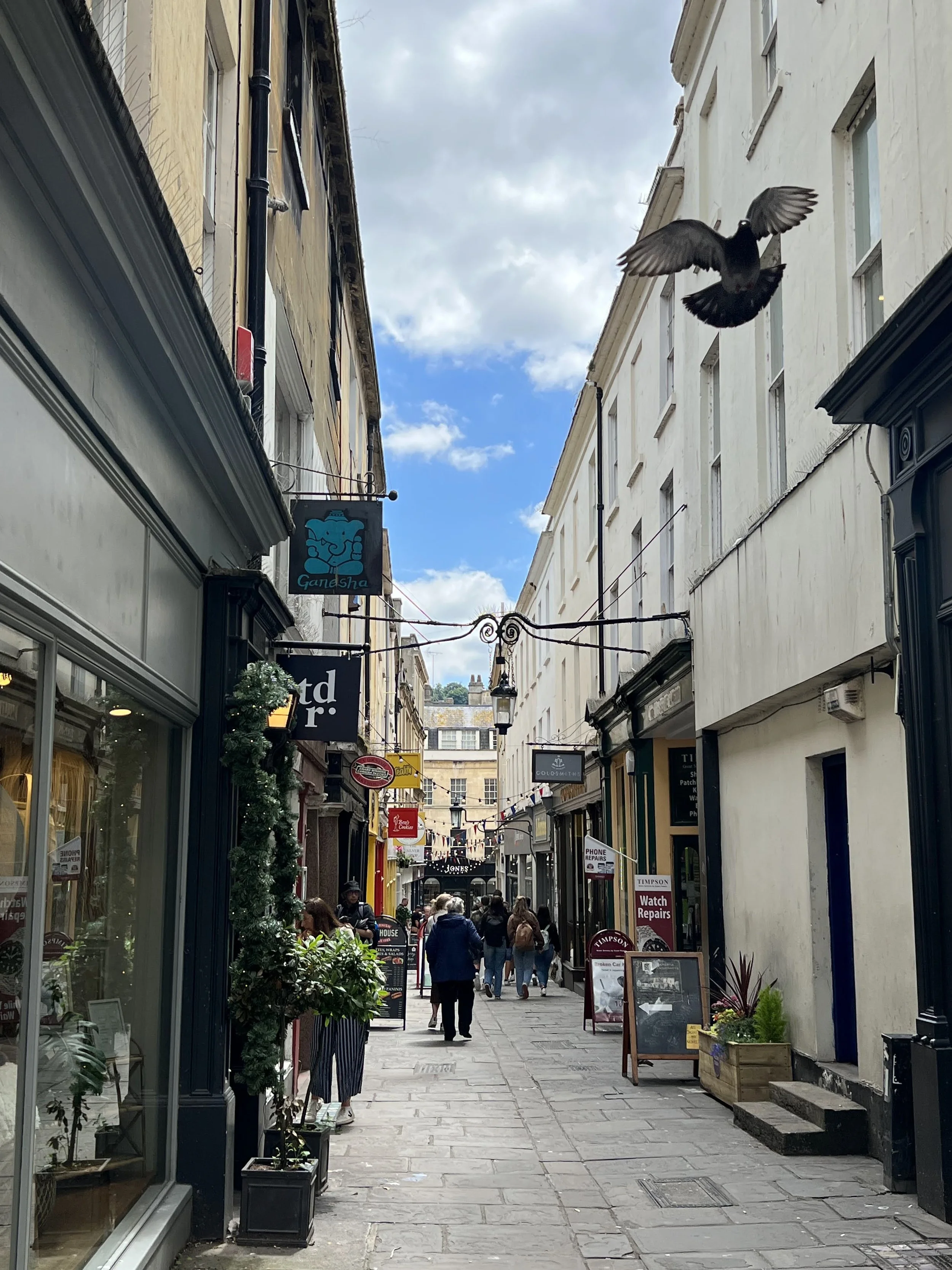 IMG_6606.jpeg