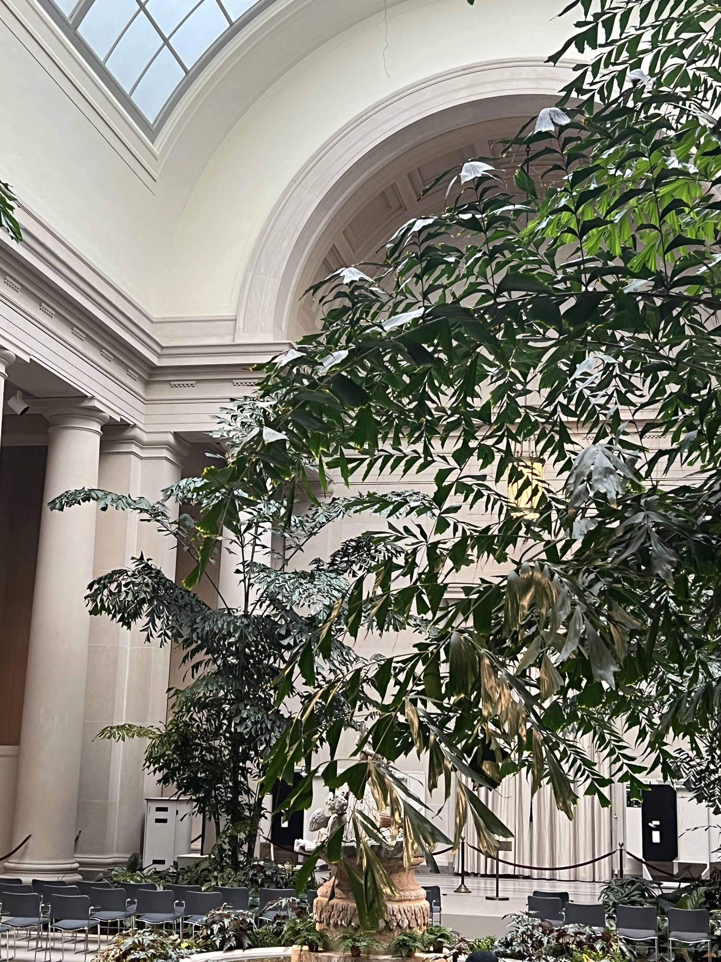 IMG_8440.jpeg