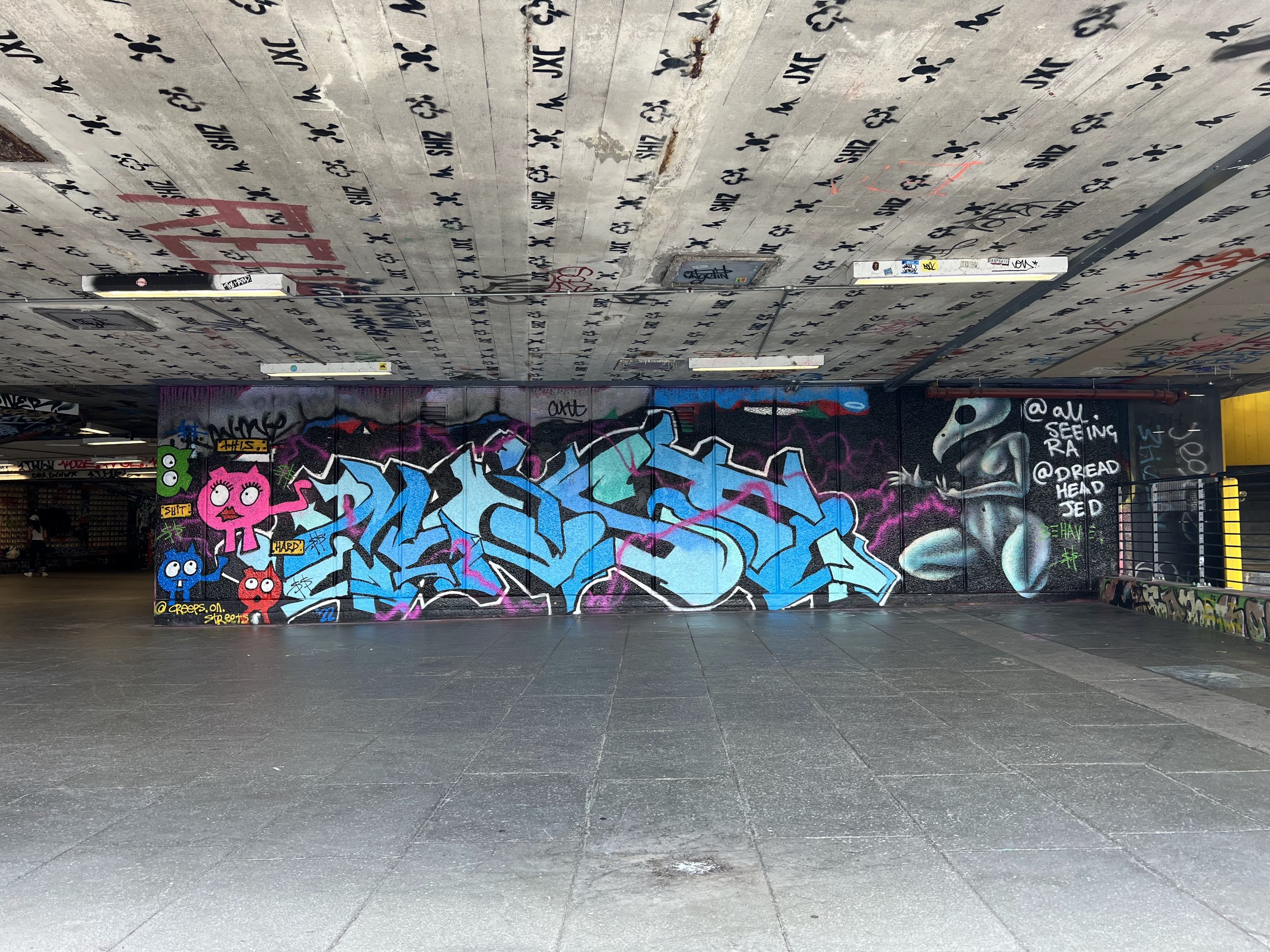 IMG_6716.jpeg