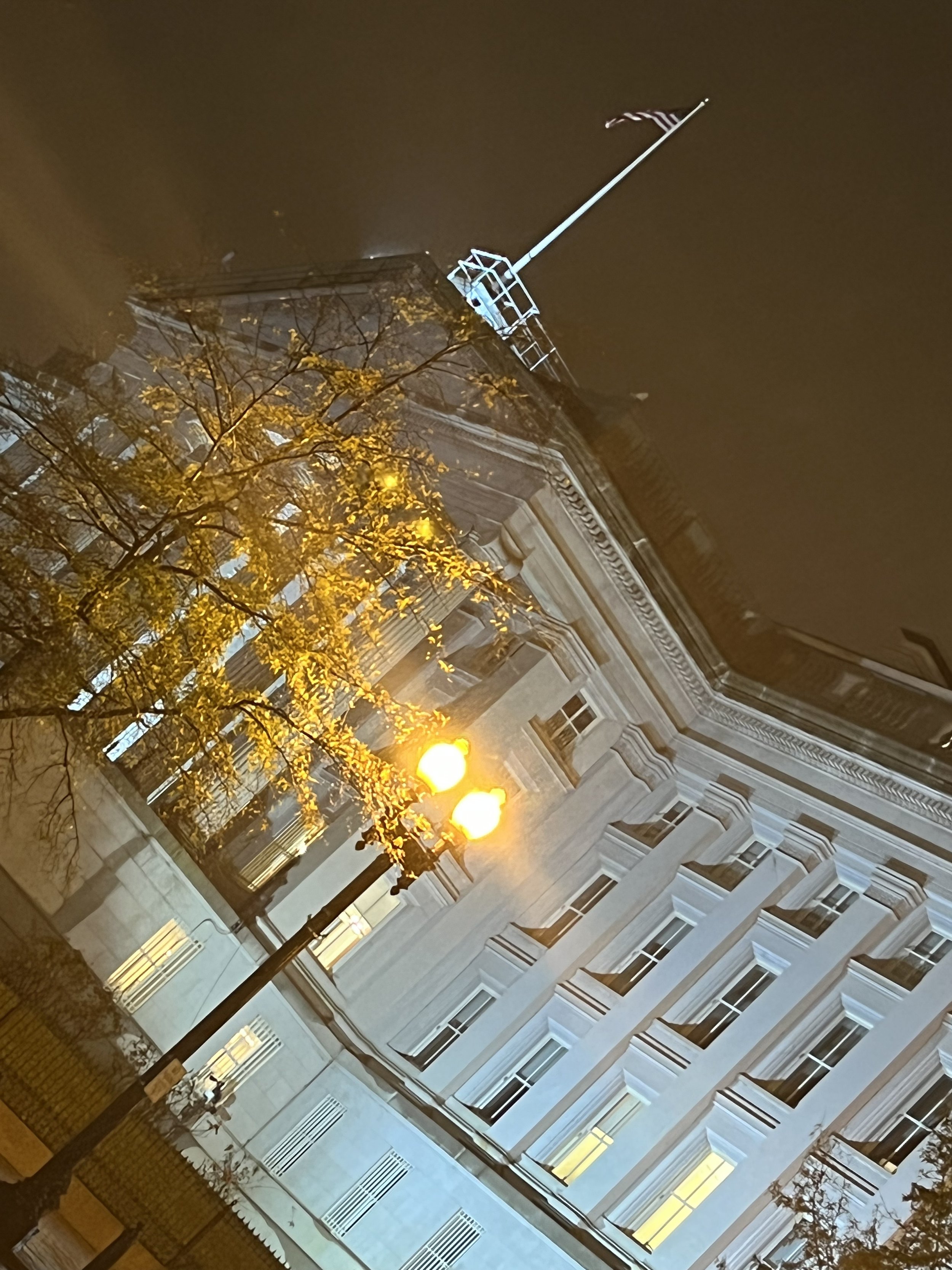 IMG_8199.jpeg