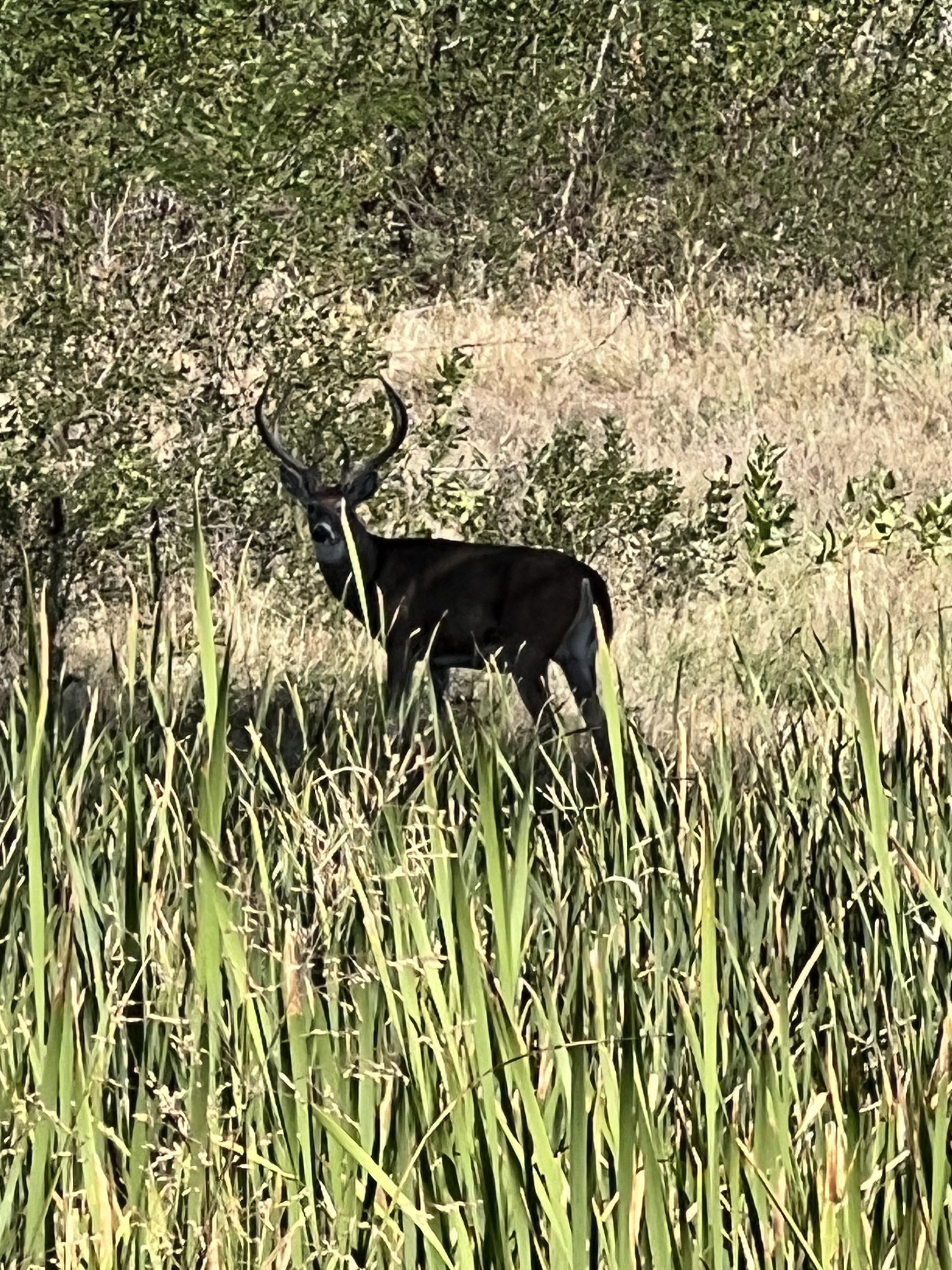 IMG_5404.jpeg