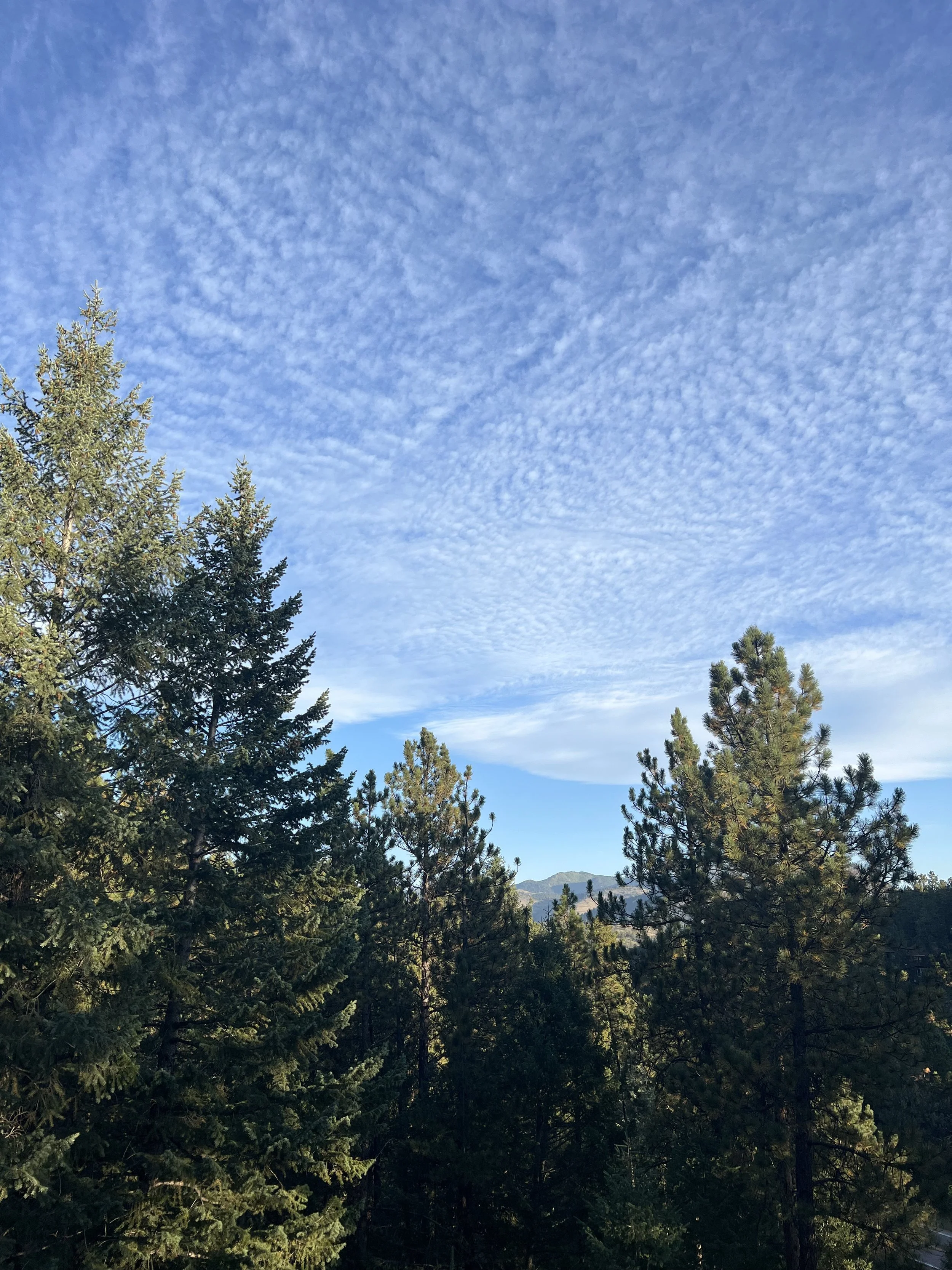 IMG_5385.jpeg