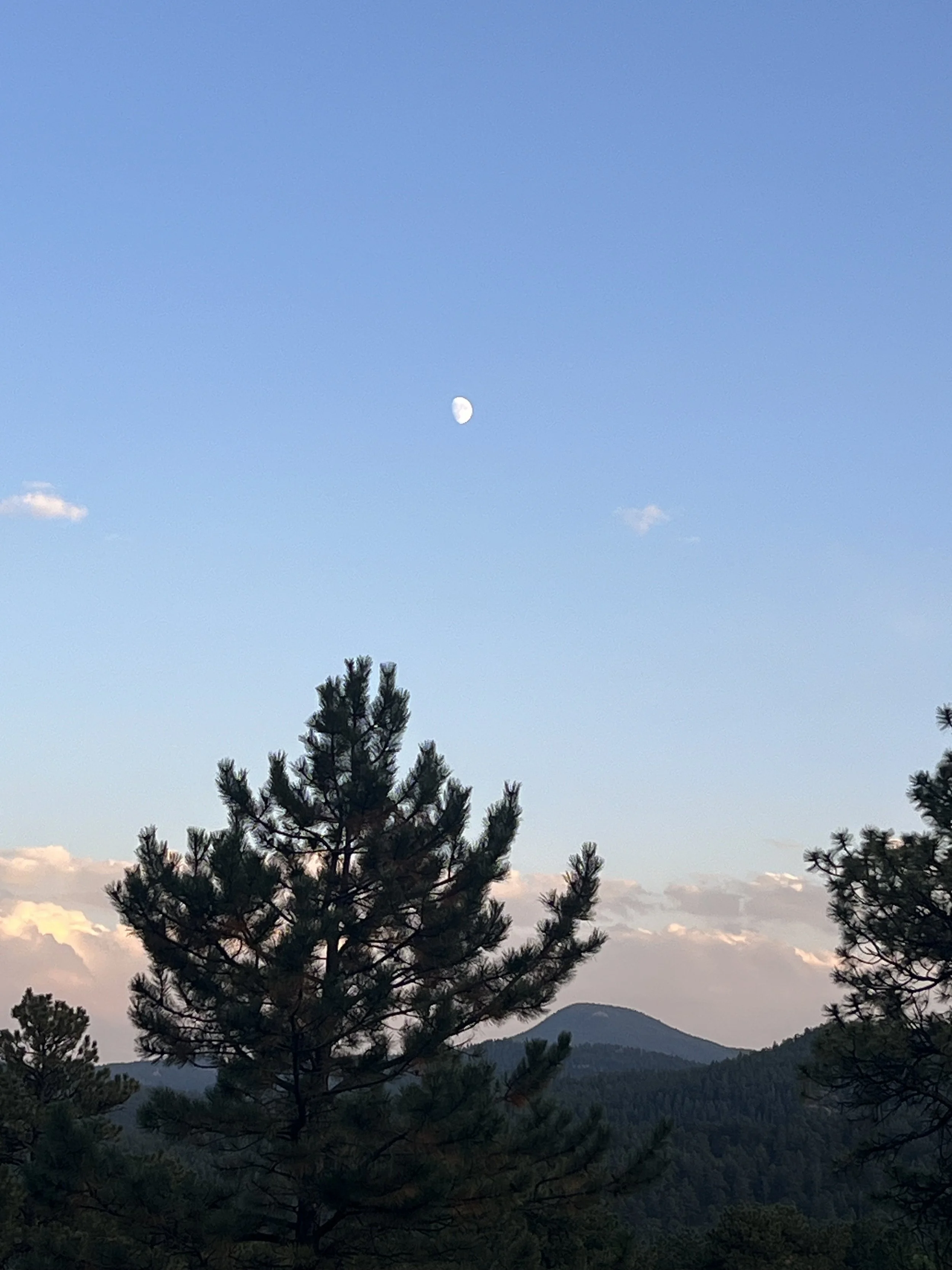 IMG_5370.jpeg
