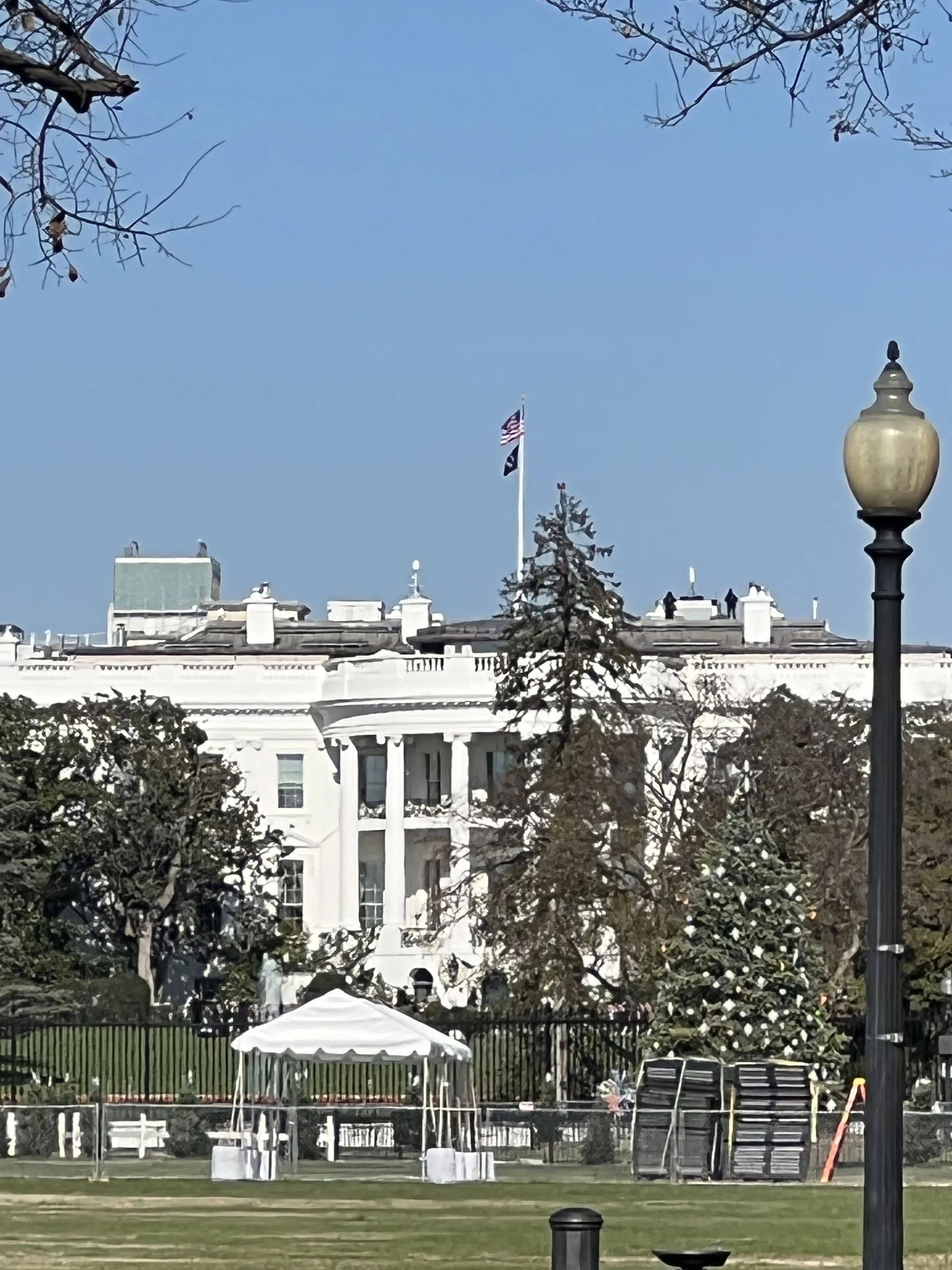 IMG_8327.jpeg