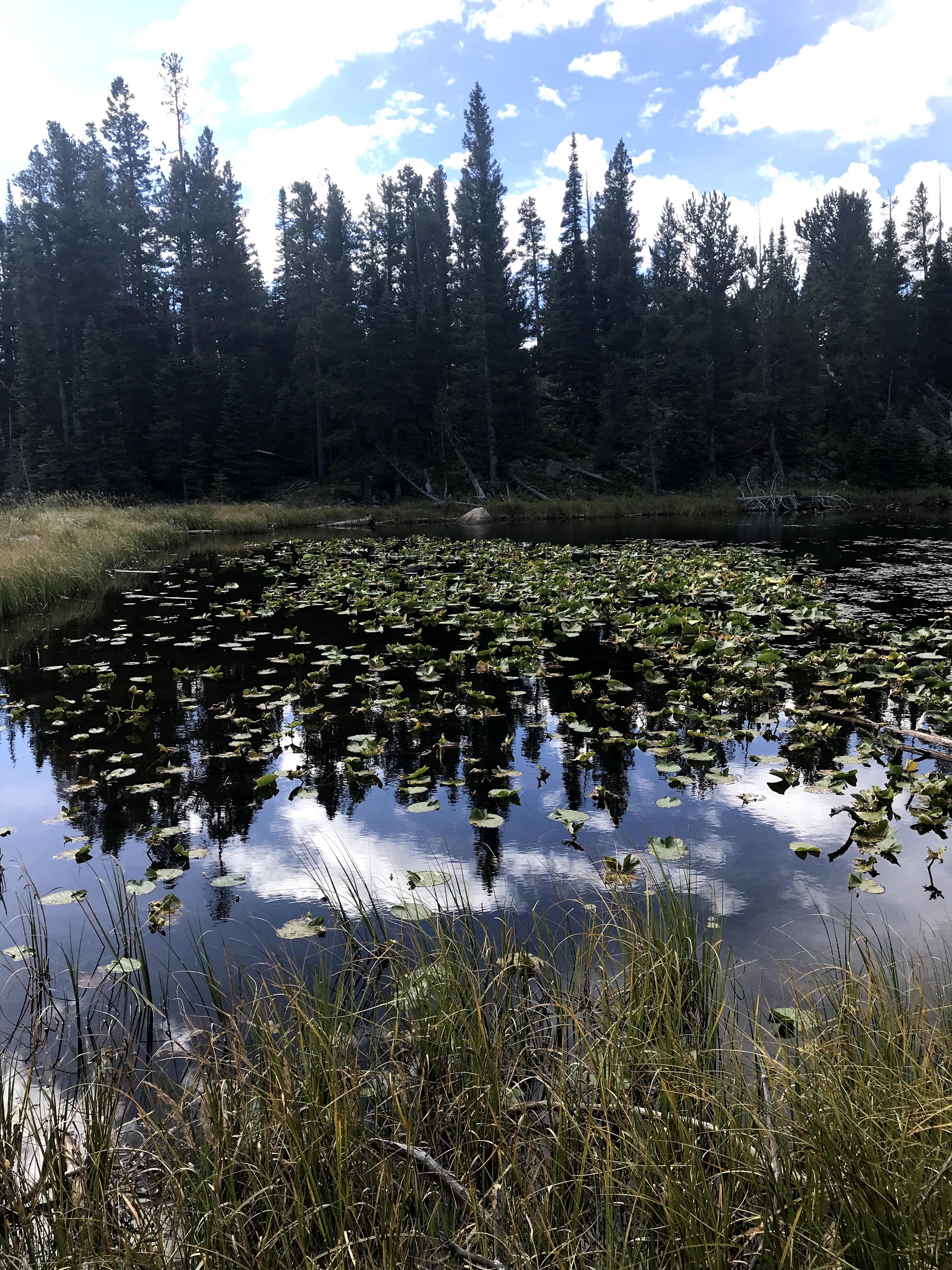 IMG_5949.jpeg