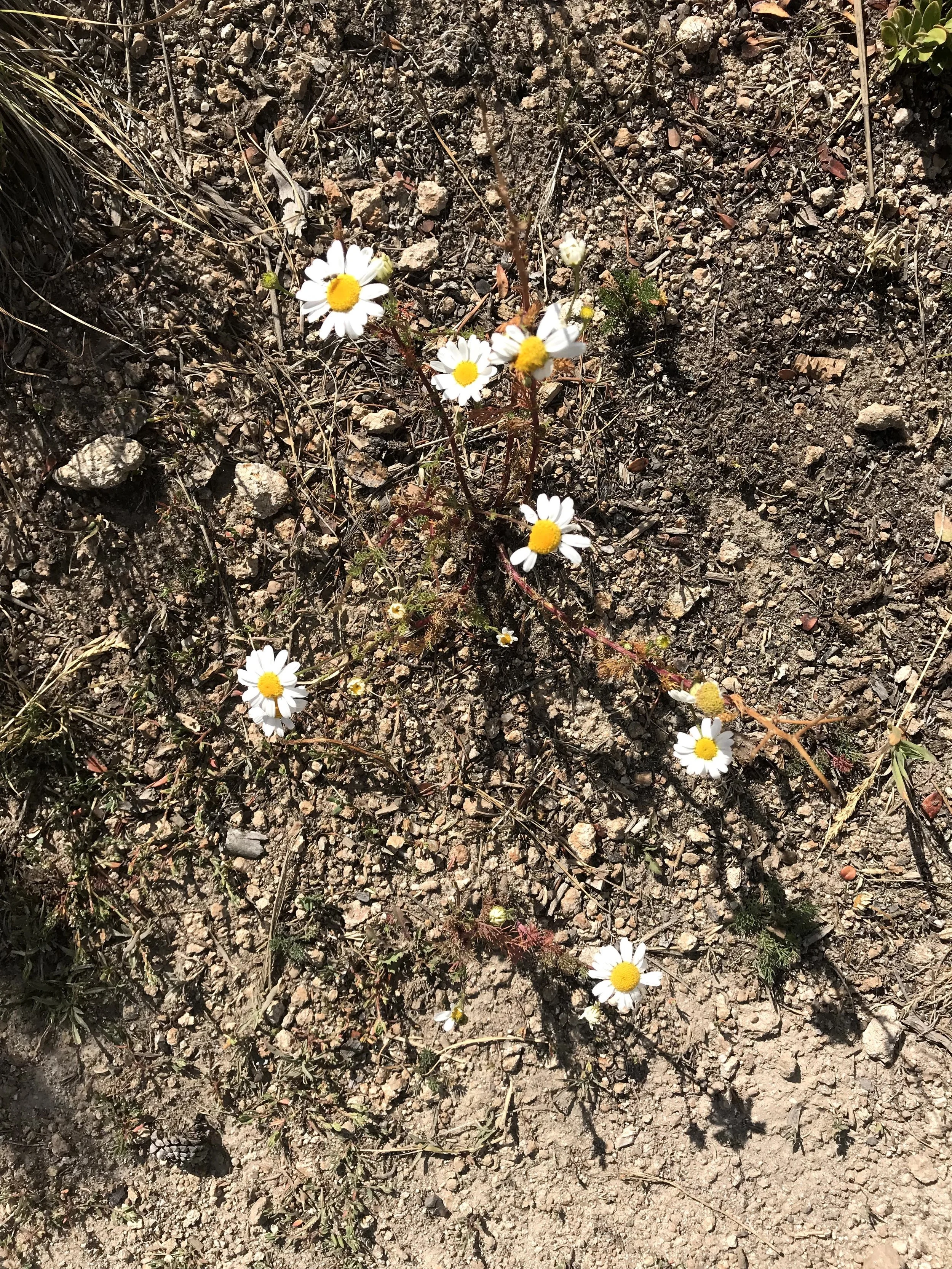 IMG_5759.jpeg