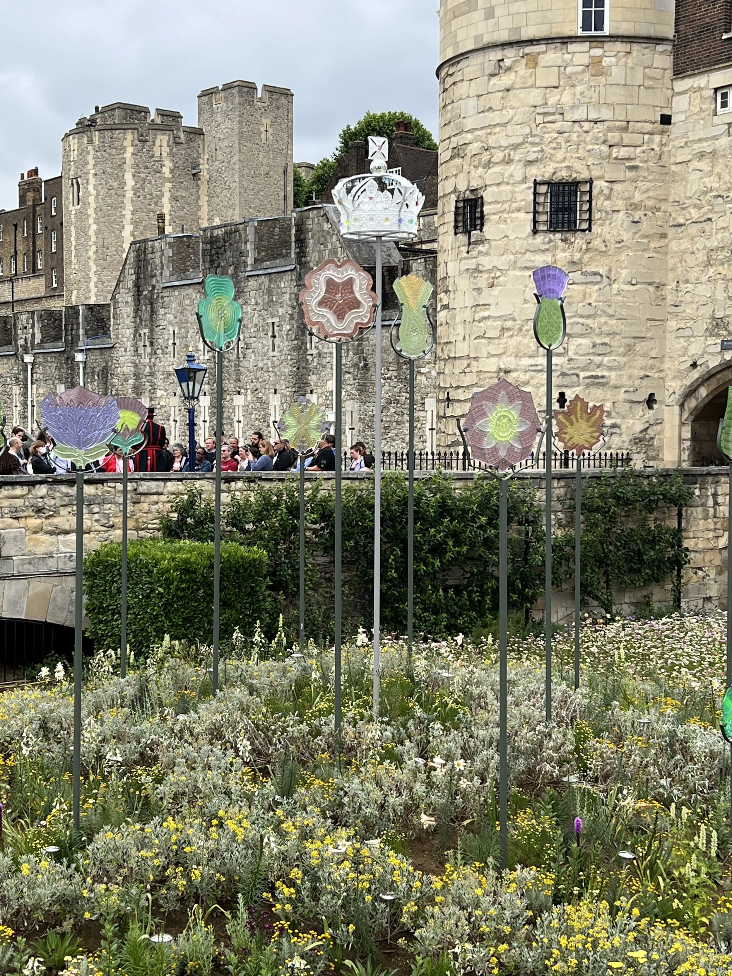 IMG_6135.jpeg