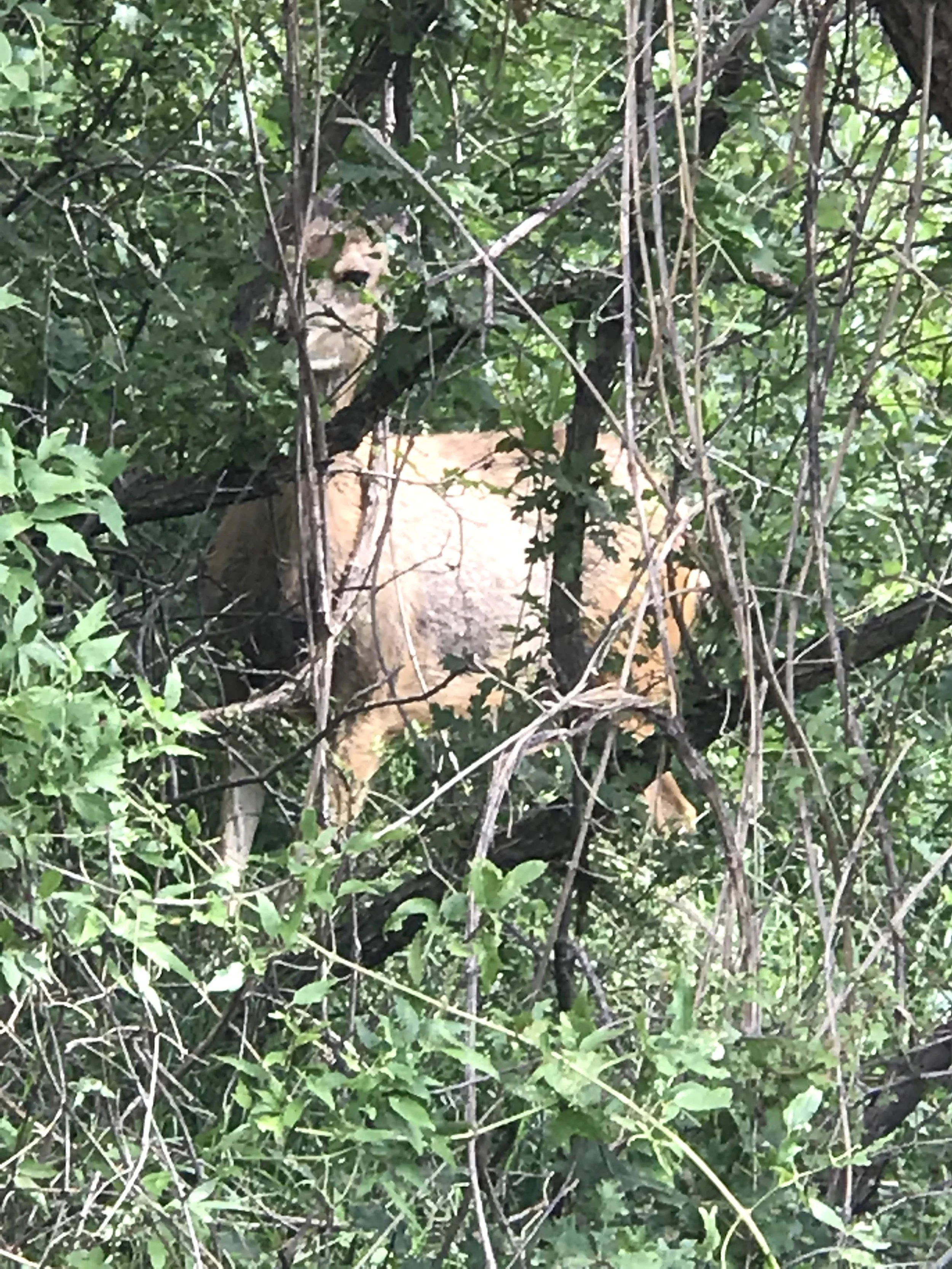 IMG_5506.jpeg