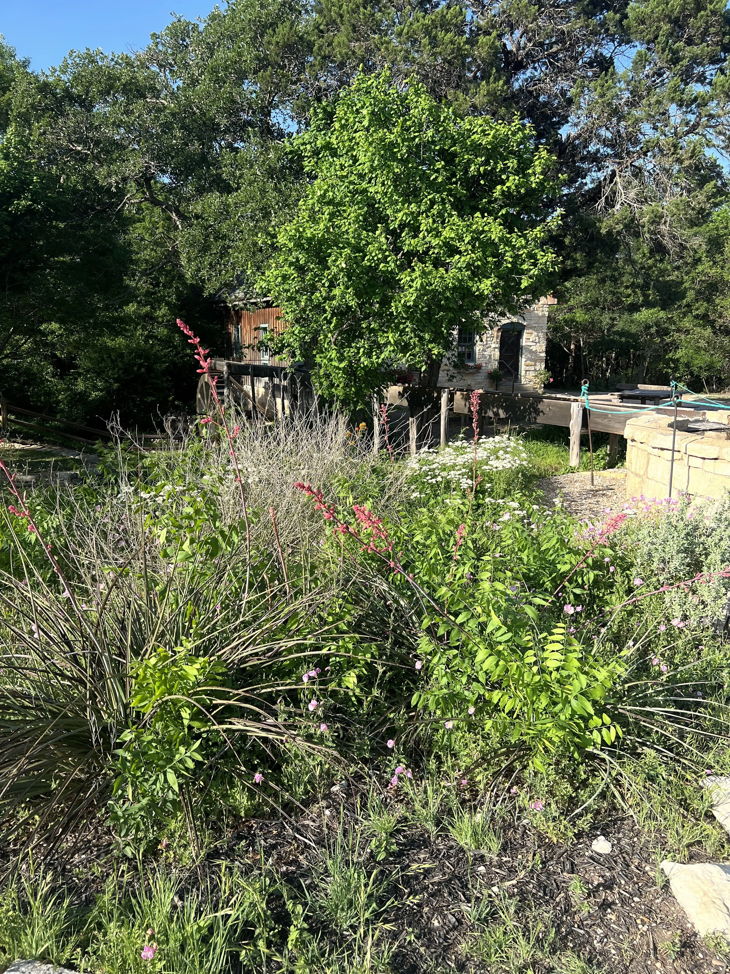 IMG_5723.jpeg