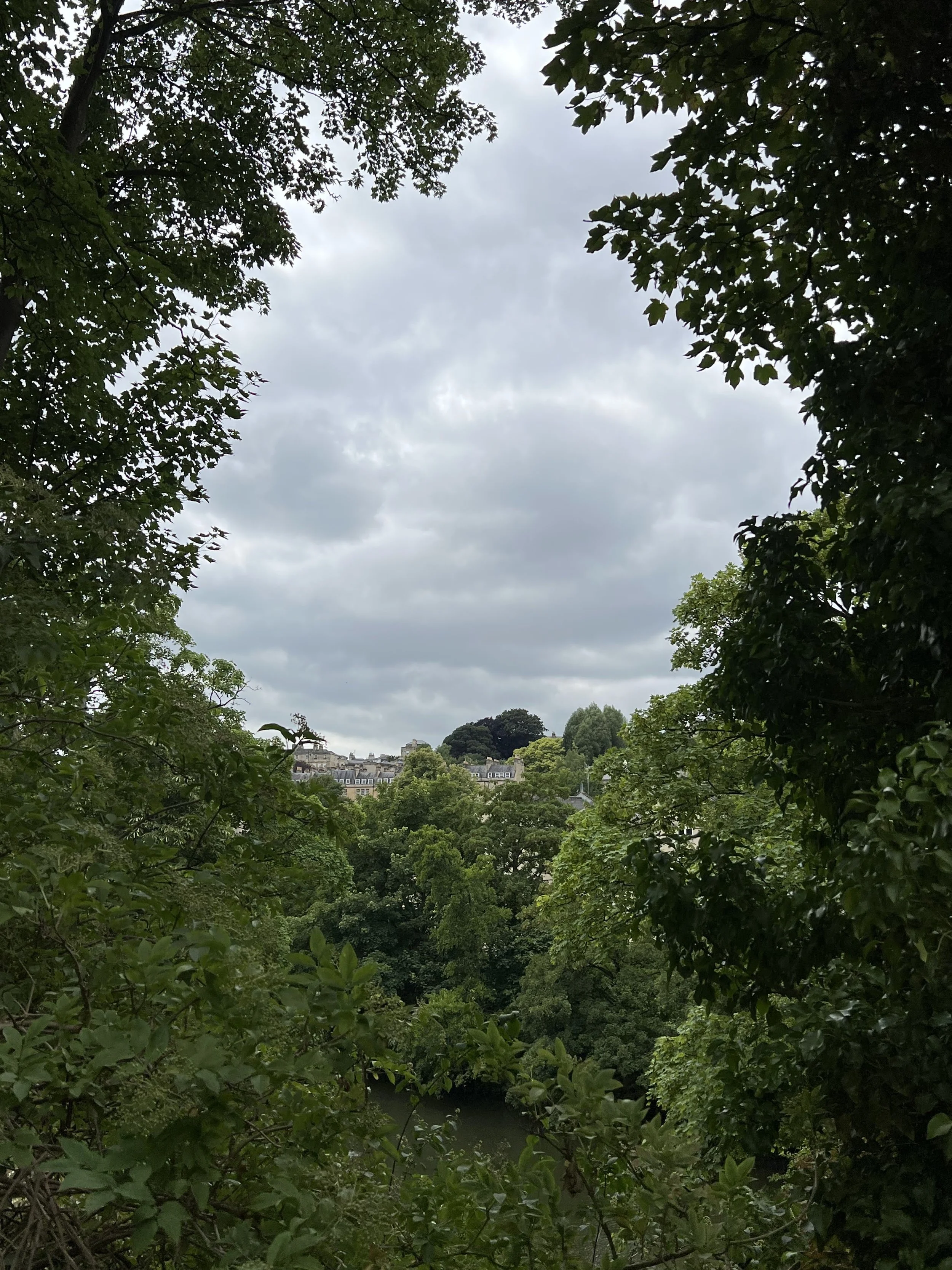 IMG_6622.jpeg