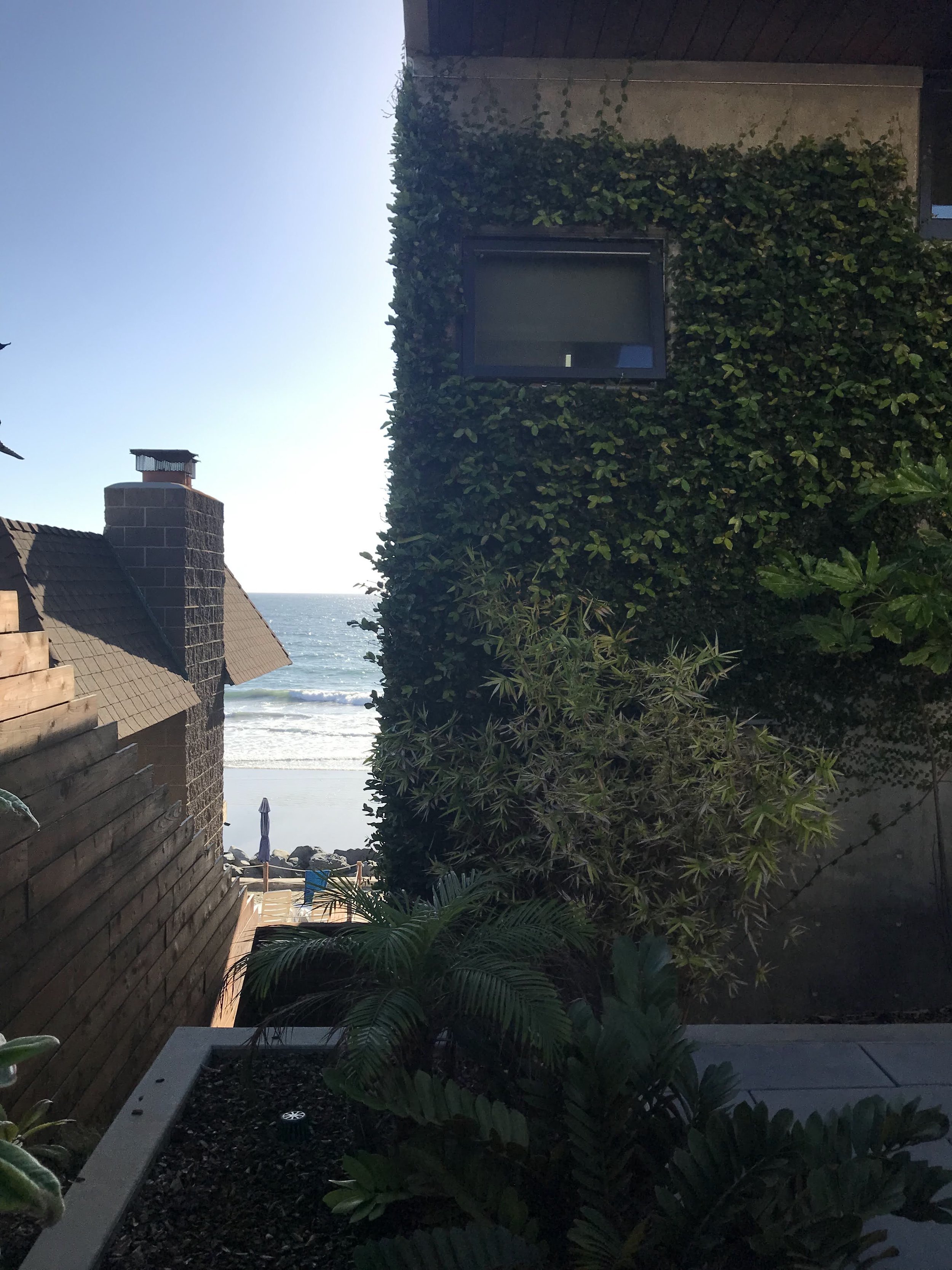 IMG_4201.jpeg