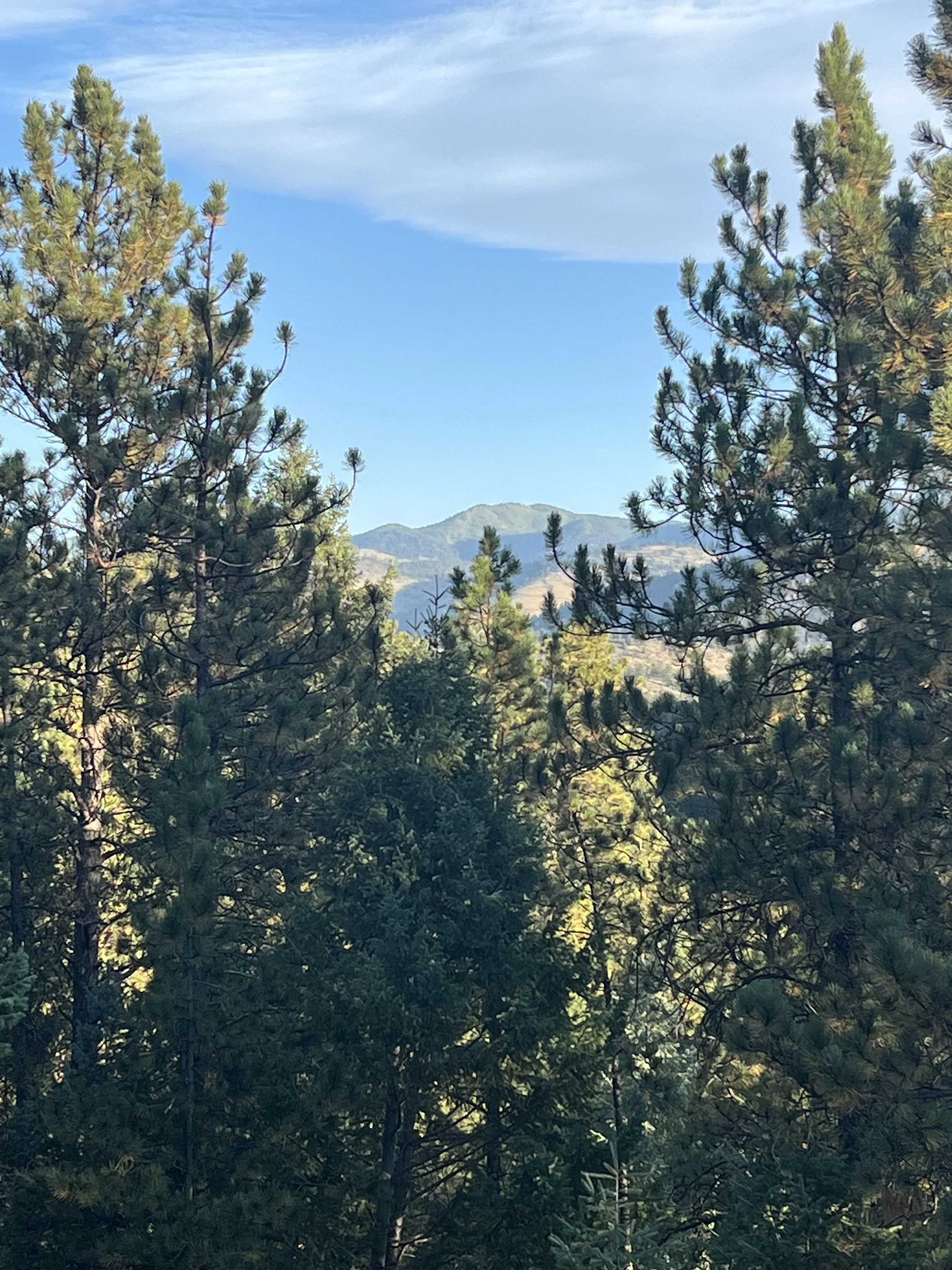 IMG_5388.jpeg