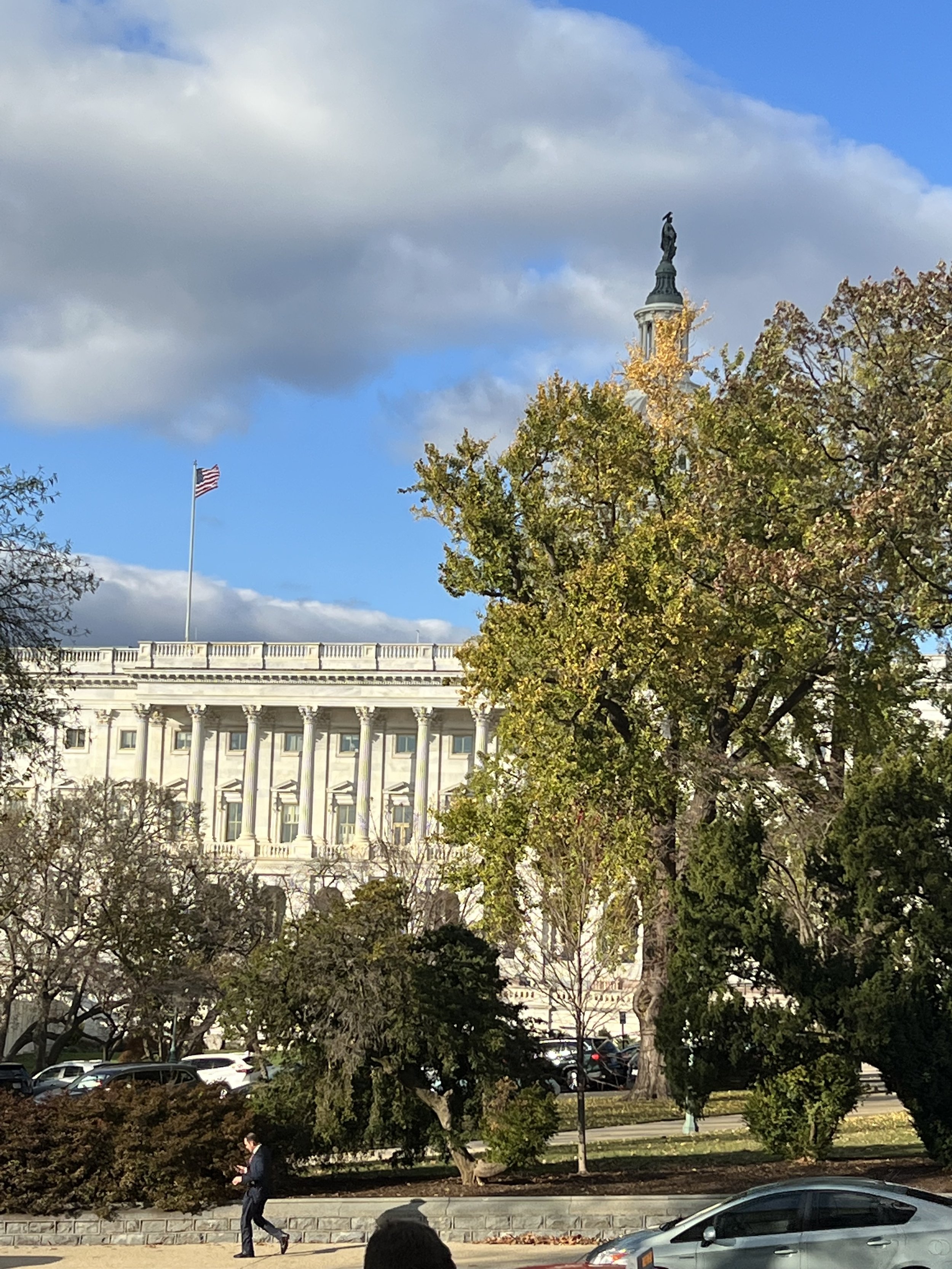 IMG_8216.jpeg