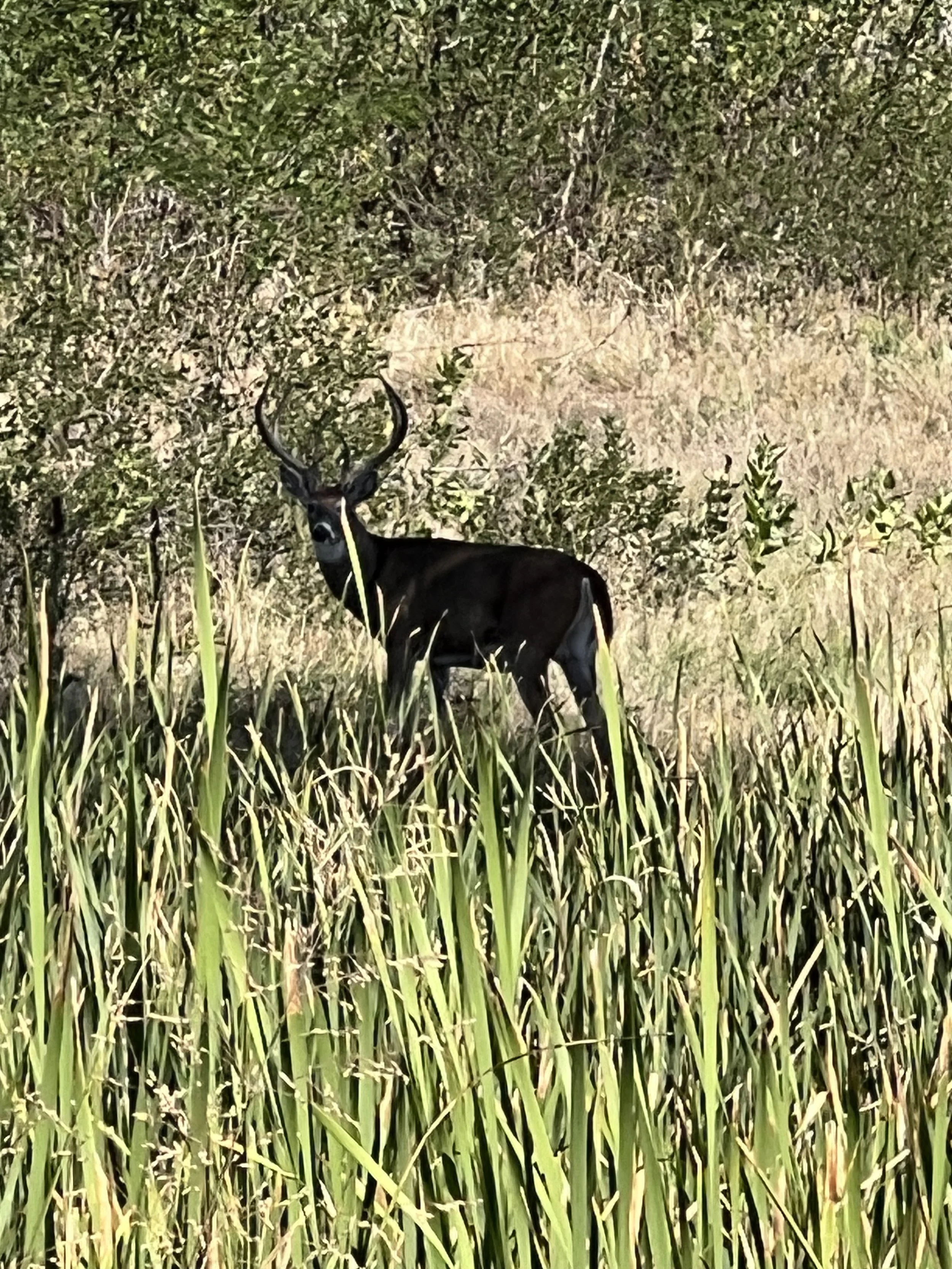 IMG_5404.jpeg