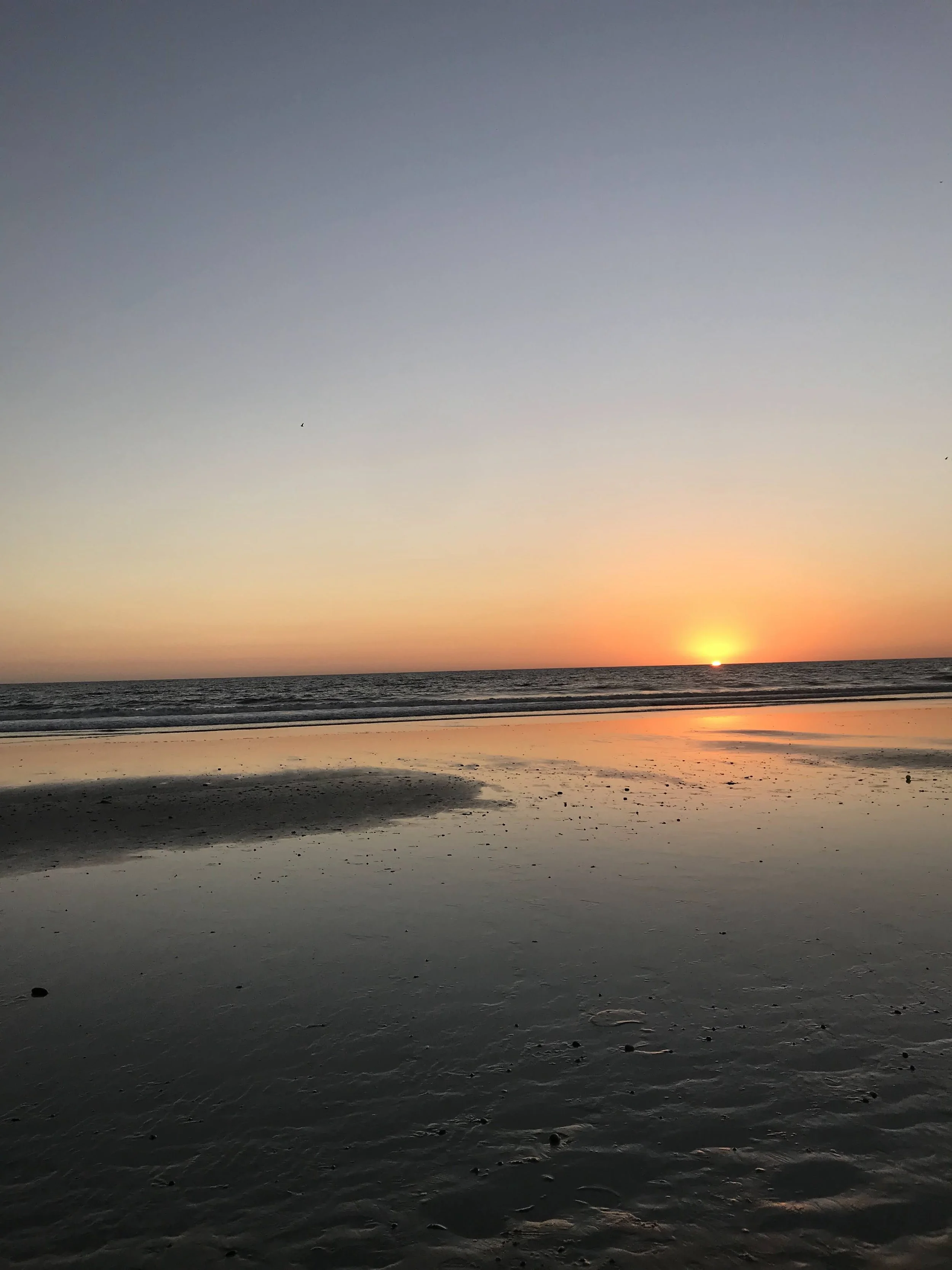 IMG_4215.jpeg