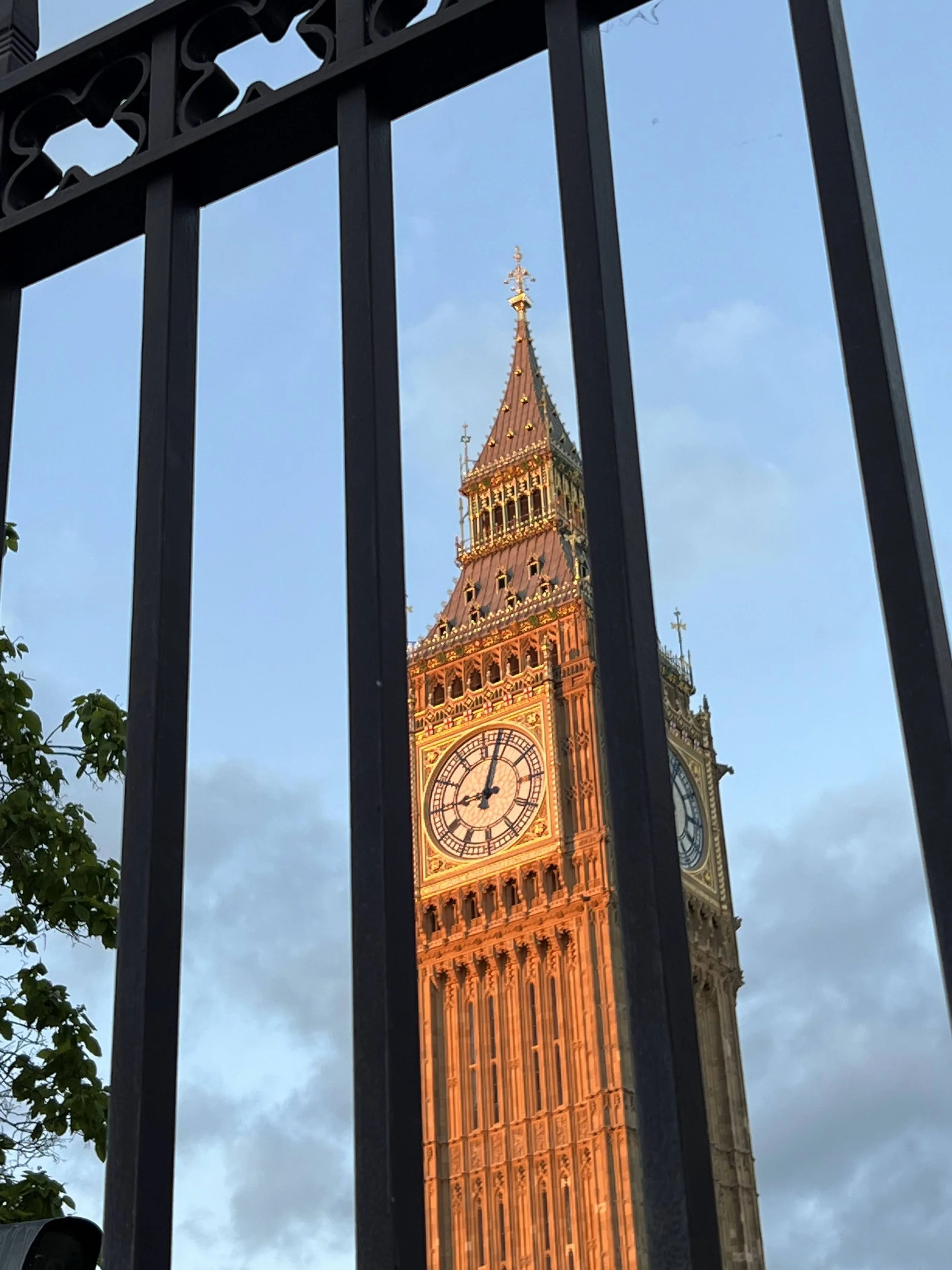 IMG_6320.jpeg