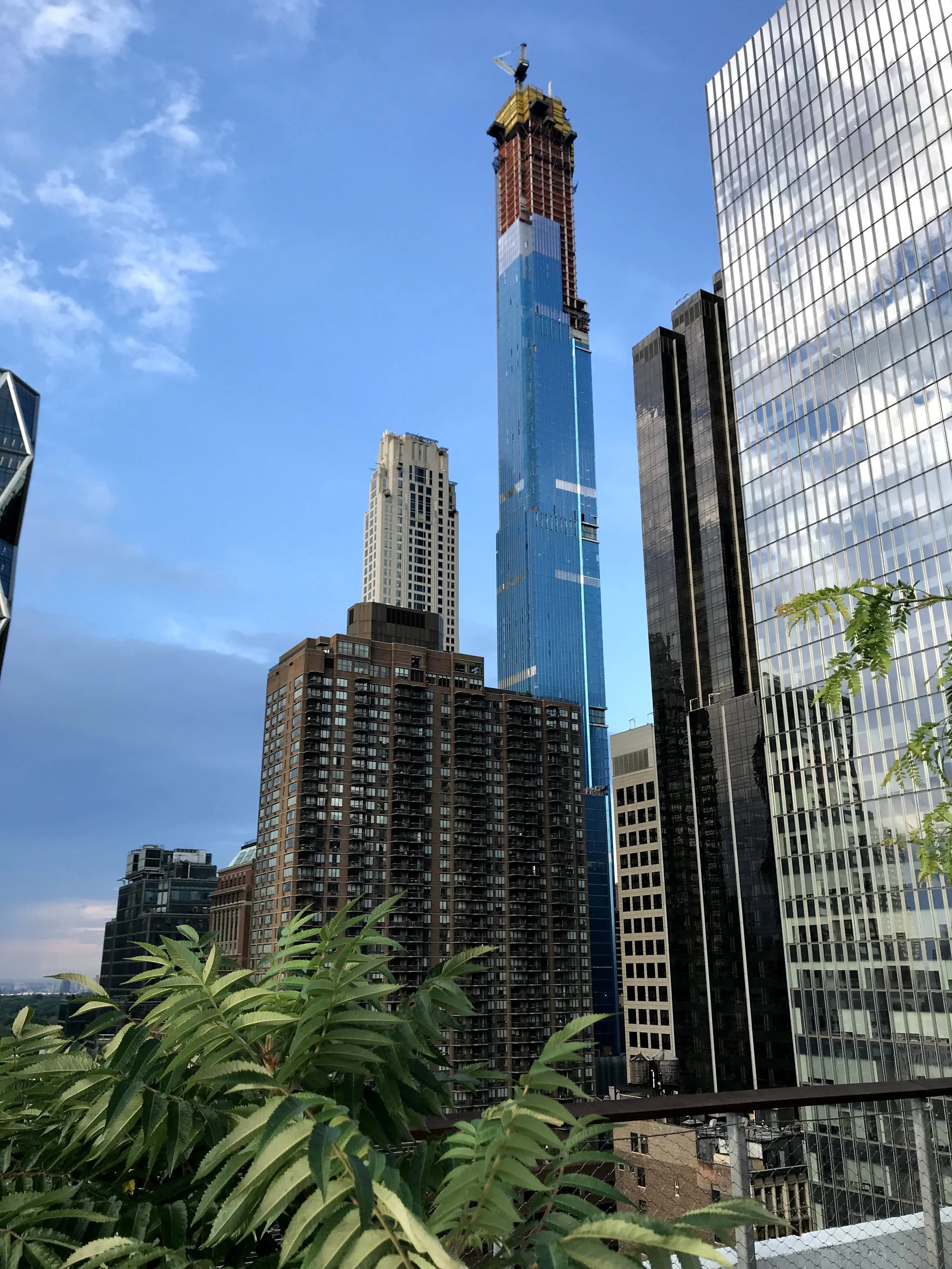 IMG_8201.jpeg