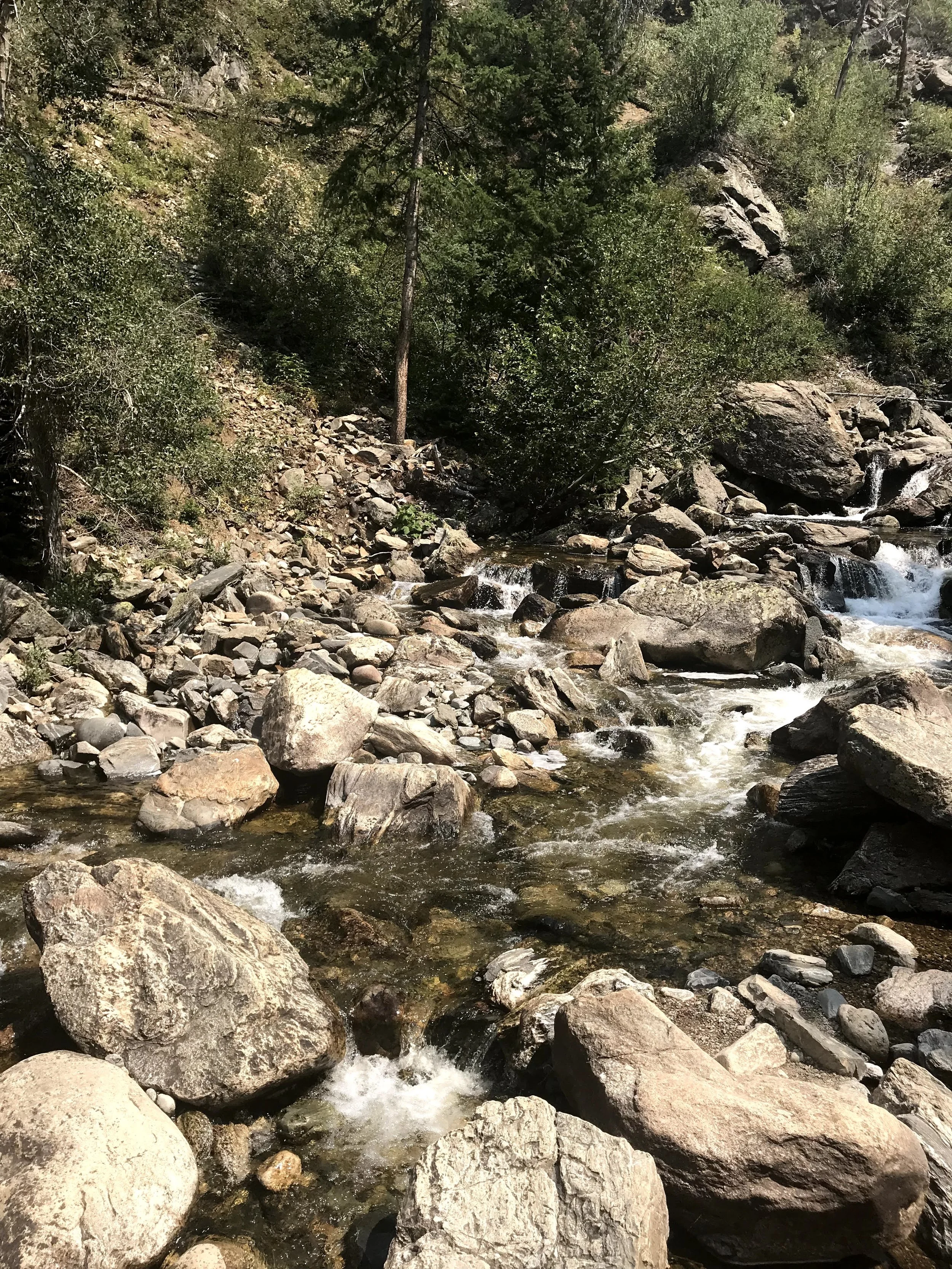 IMG_5880.jpeg