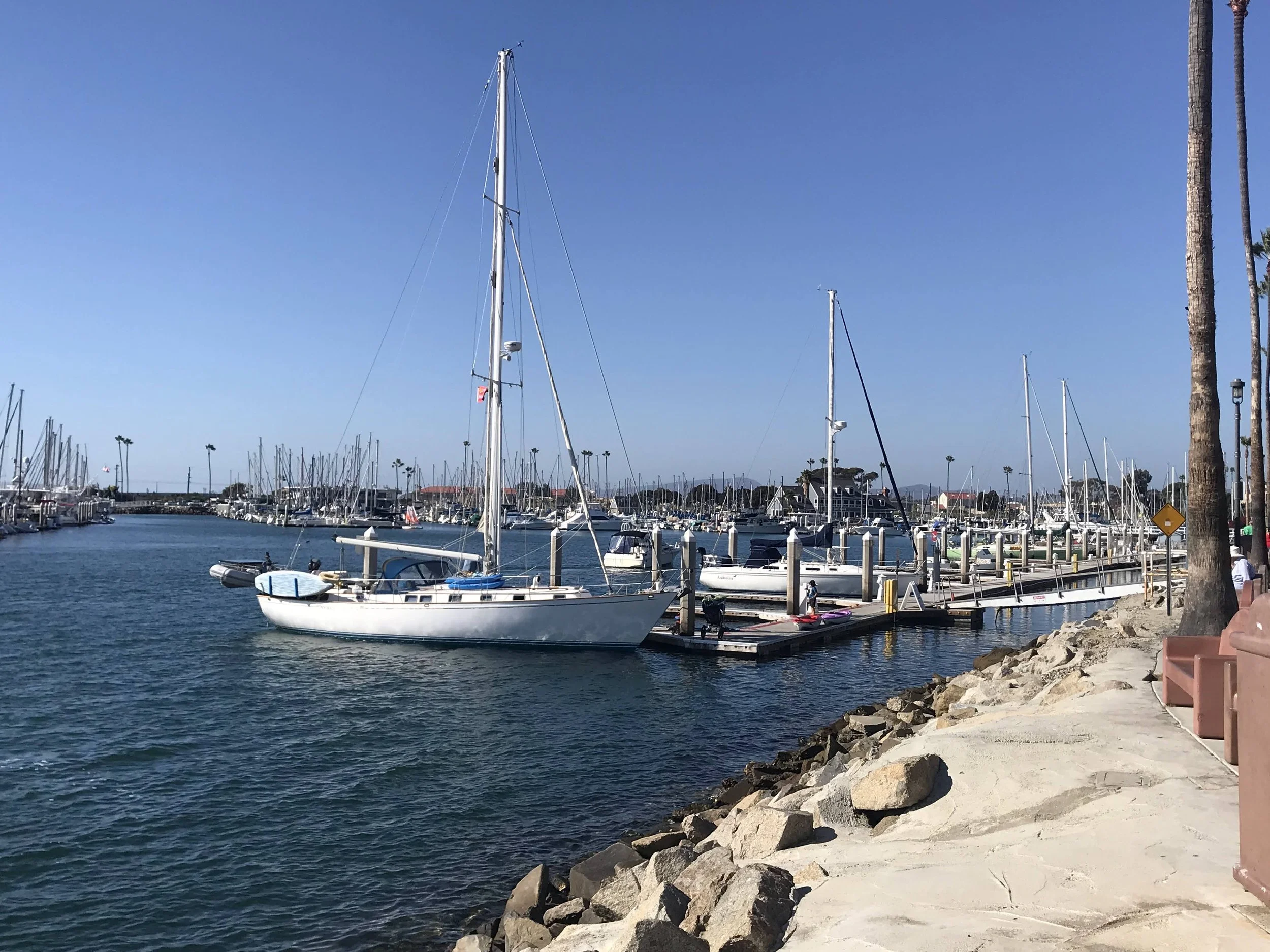 IMG_4195.jpeg