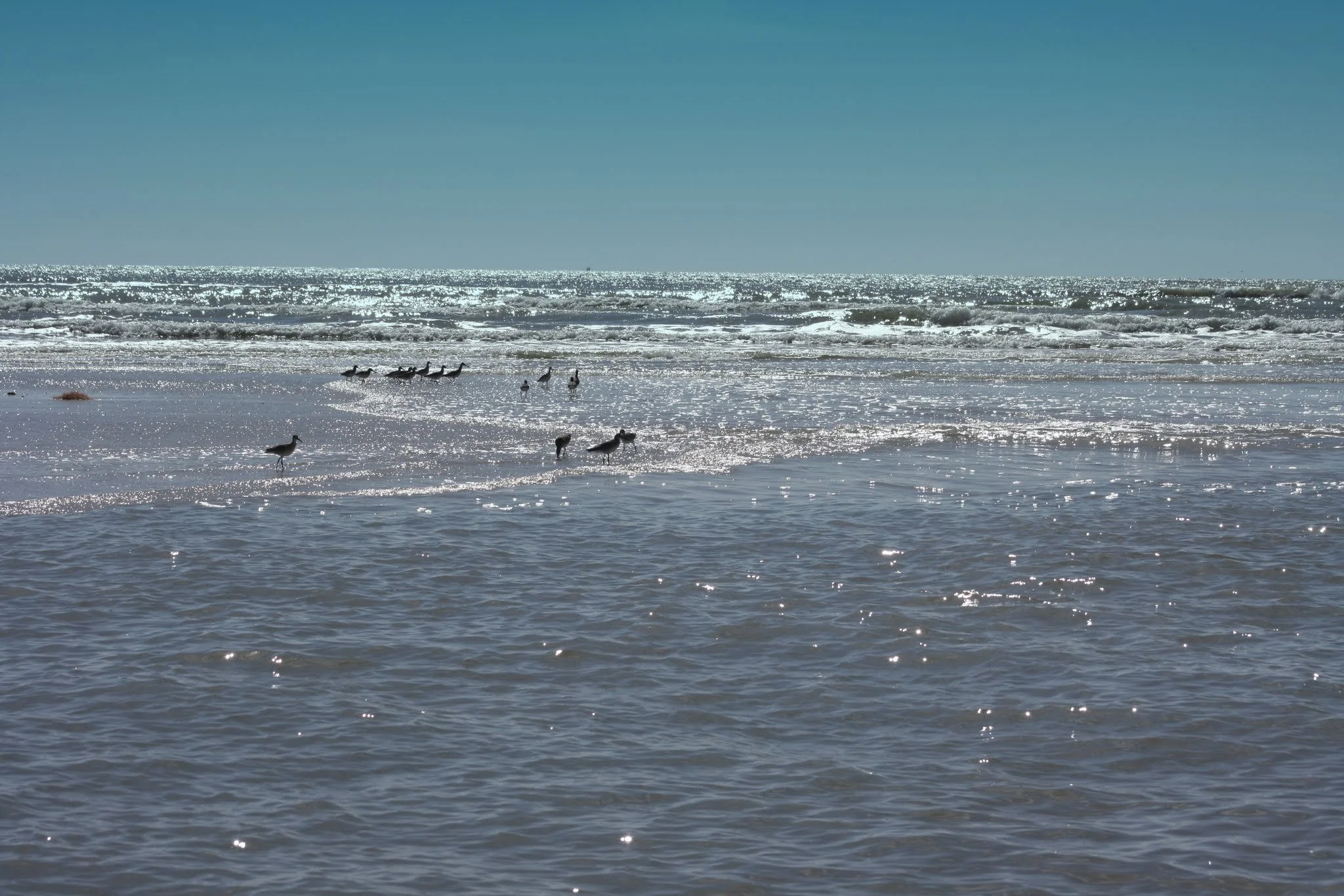 IMG_2670.JPG