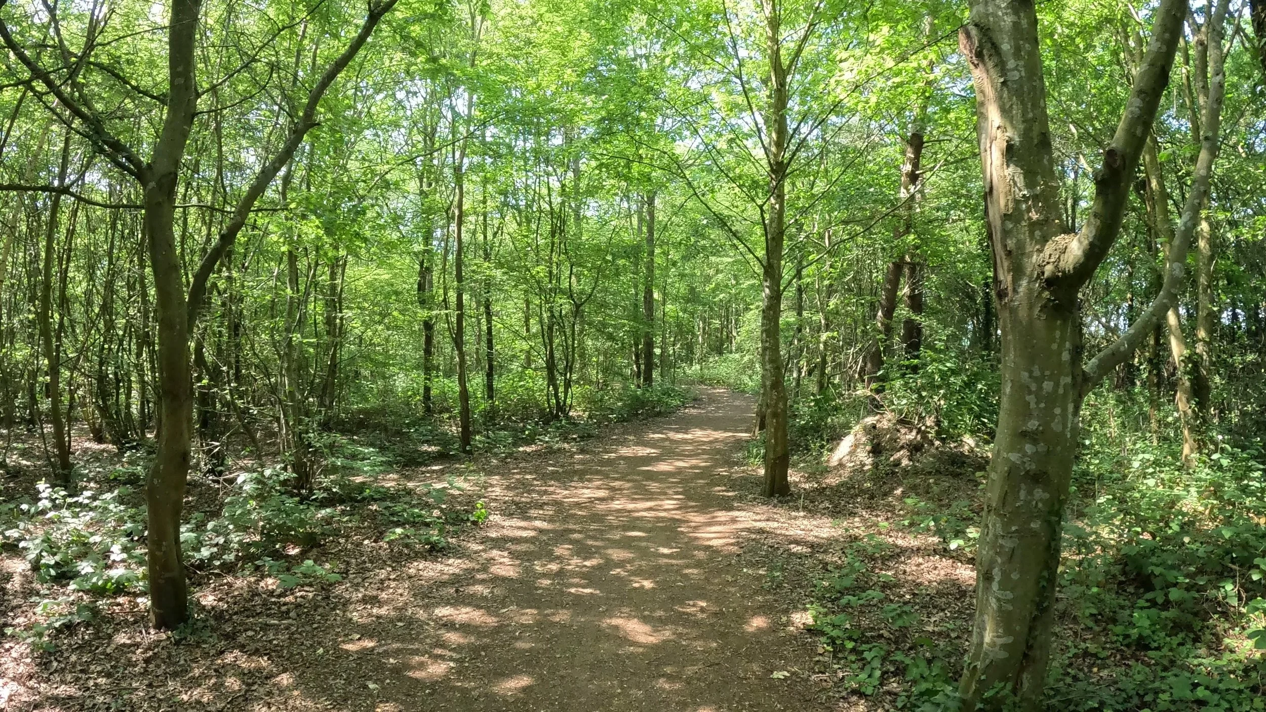 Chase Farm to West Lodge Park May 22, 2026