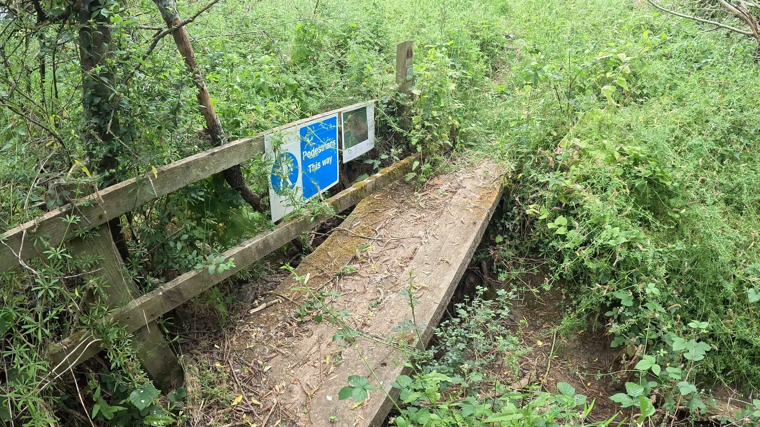 Rectory Farm to Windrush May 31, 2026