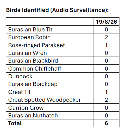birds aug.png