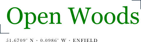 Open Woods
