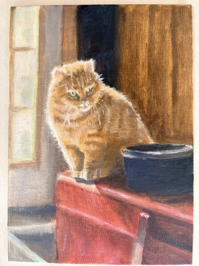 "Barn cat 3" Oil on linen panel, 5 x7 