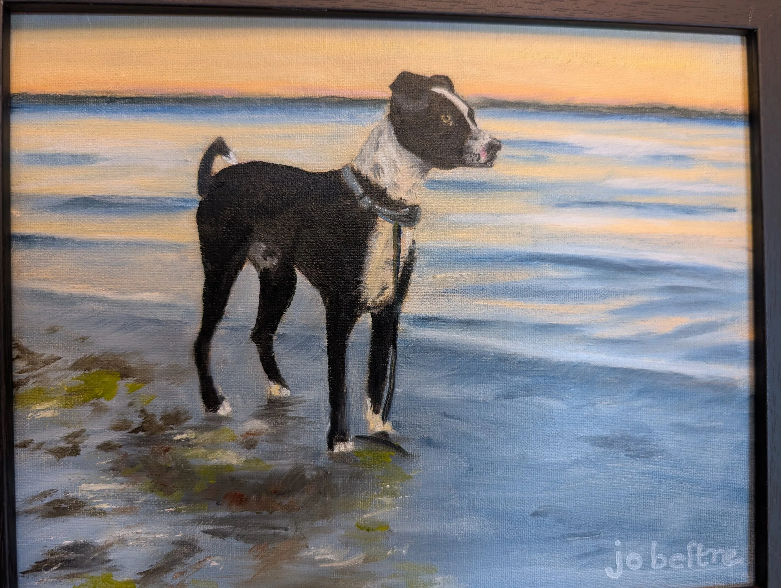 "Finn" Oil on canvas 8" x 10" commission