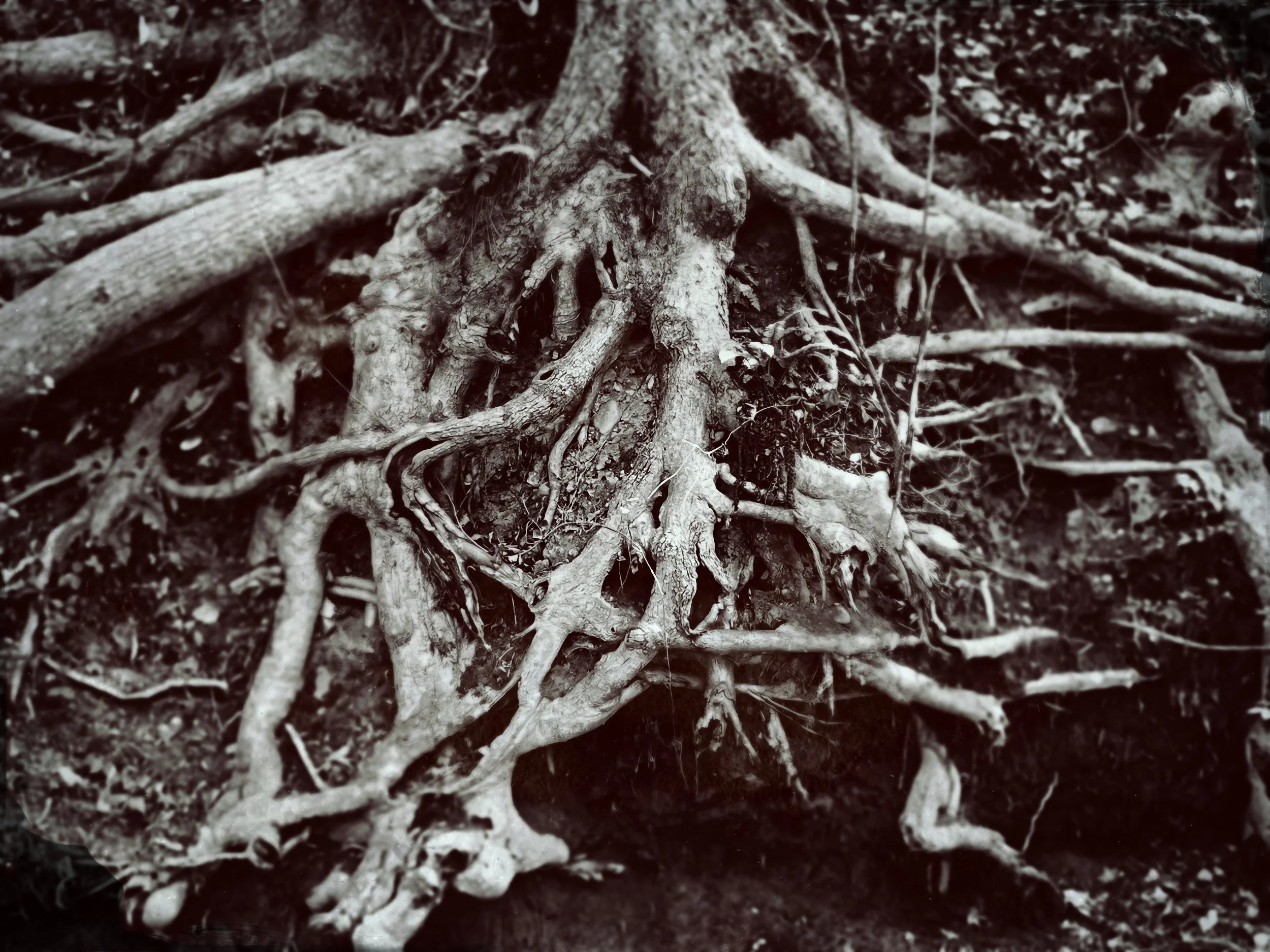 The Yunque (Short Story)