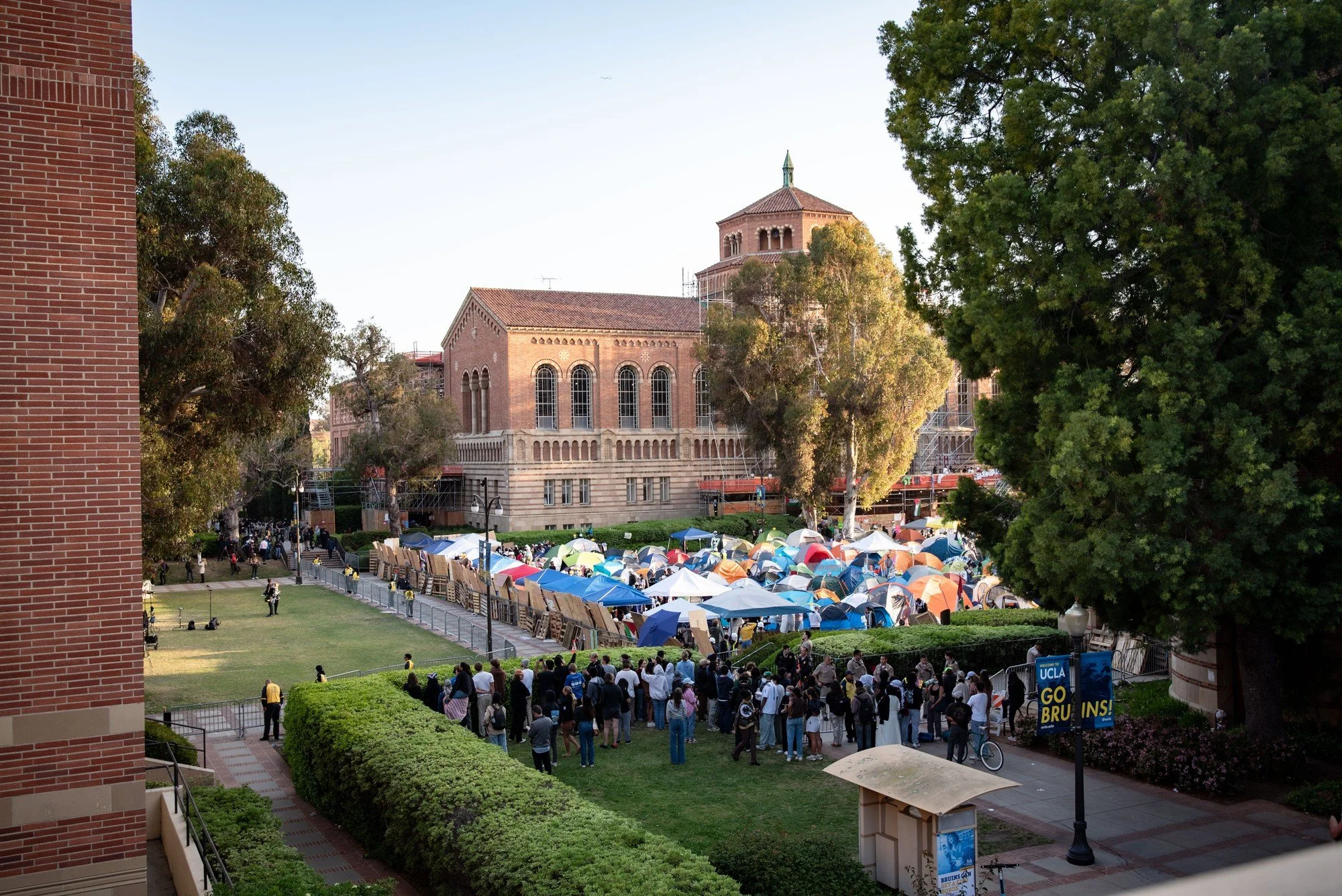 Chancellor Gene Block orders the eviction of the Palestine solidarity encampment (Article)