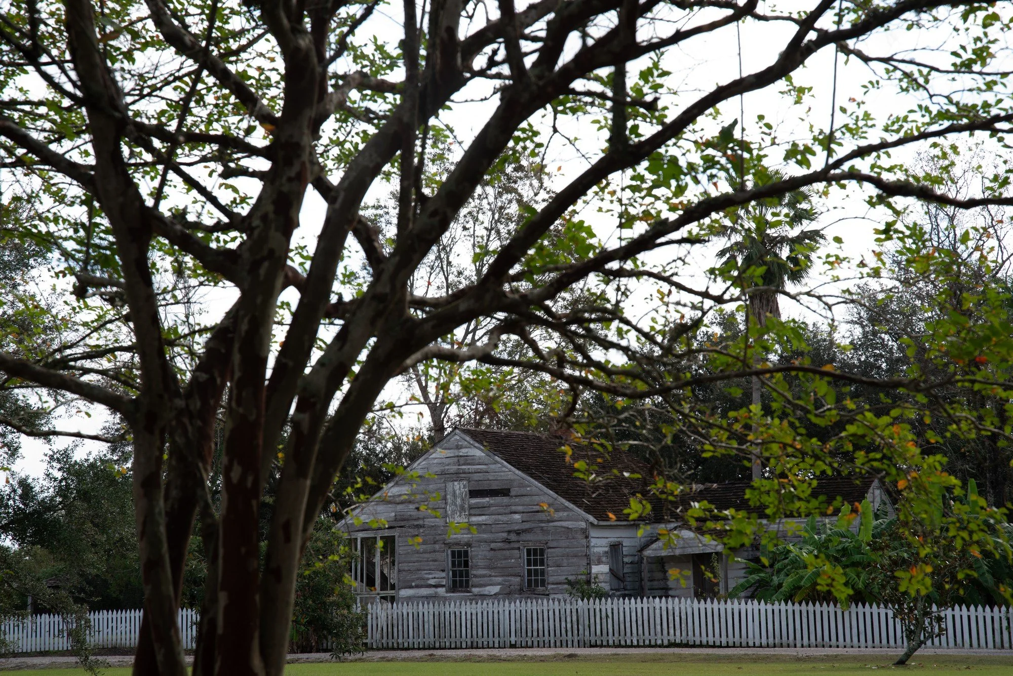 DSC_2617.jpg