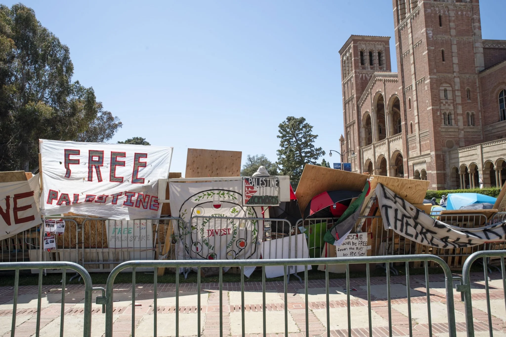 Exclusive photos and interview direct from the Palestine solidarity encampment (Article)