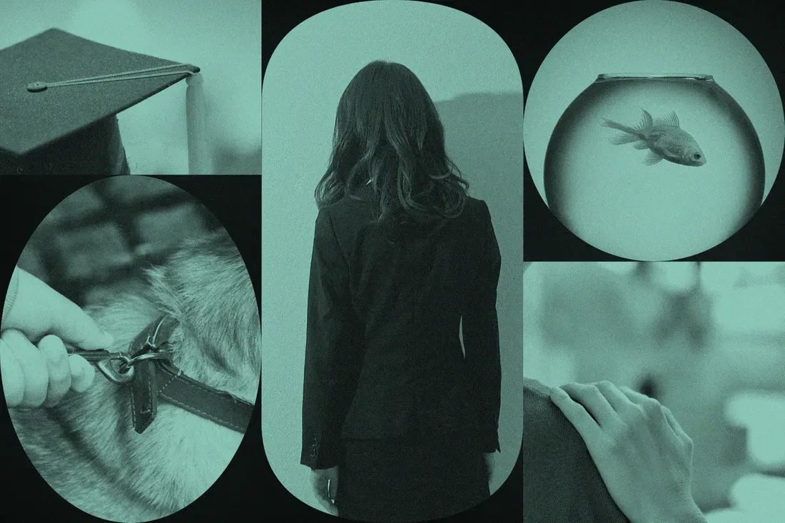A collage of five images, including a graduation cap, a woman with dark hair seen from behind, a goldfish in a fishbowl, a person's hand adjusting a dog collar, and a person's hand resting on a window or surface.