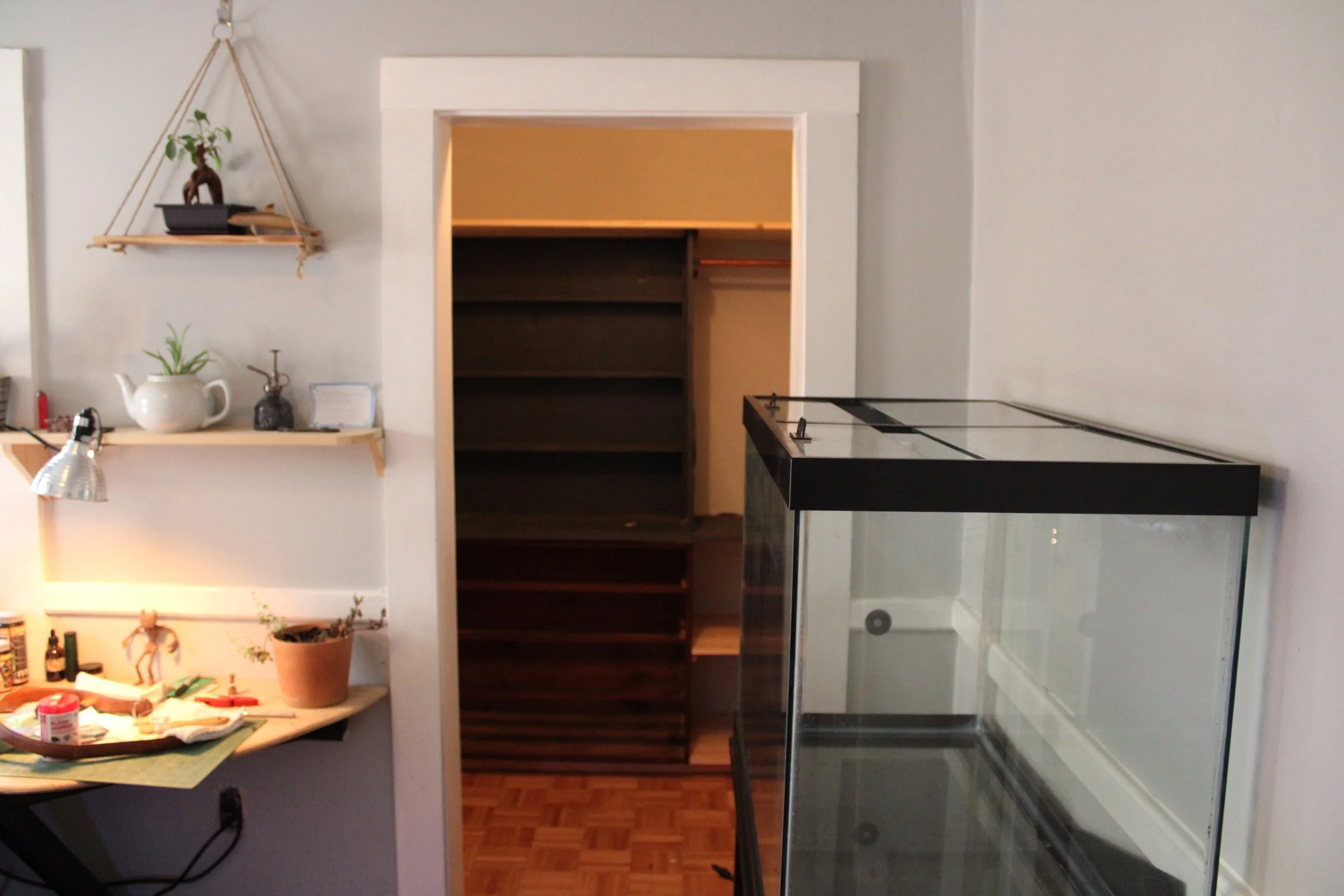 IMG_0073.jpeg