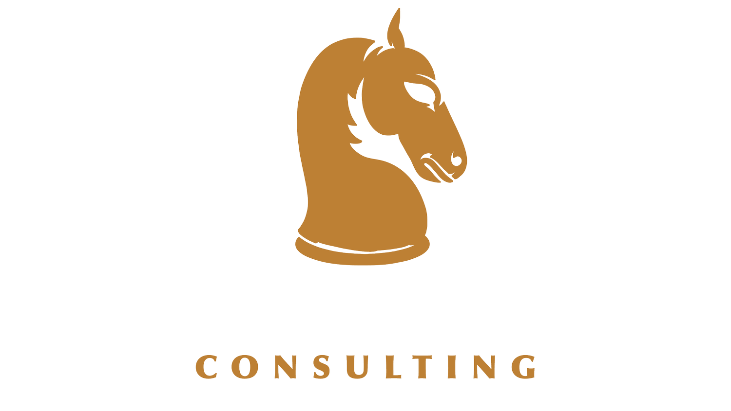 Black Knight Consulting