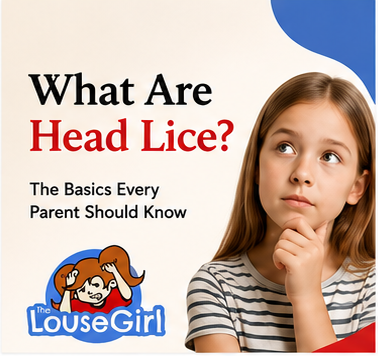 What Are Head Lice?