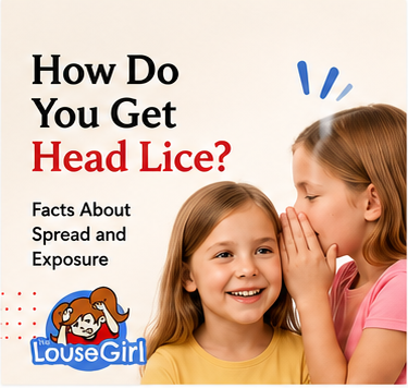 How Do You Get Head Lice?