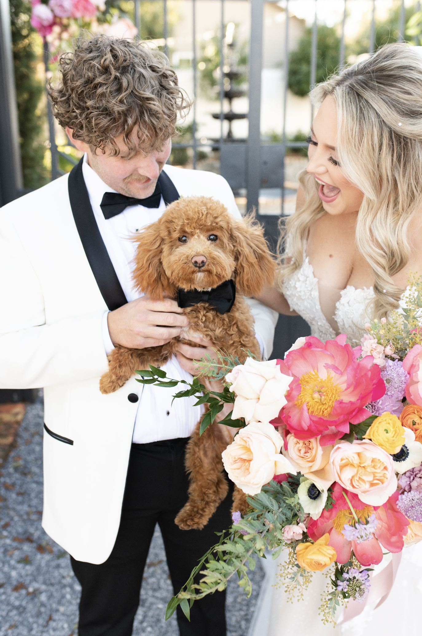 A couple in wedding attire holding a small brown poodle wearing a black bow tie, with a bouquet of pink, white, and purple flowers, outdoors in front of a black iron fence.