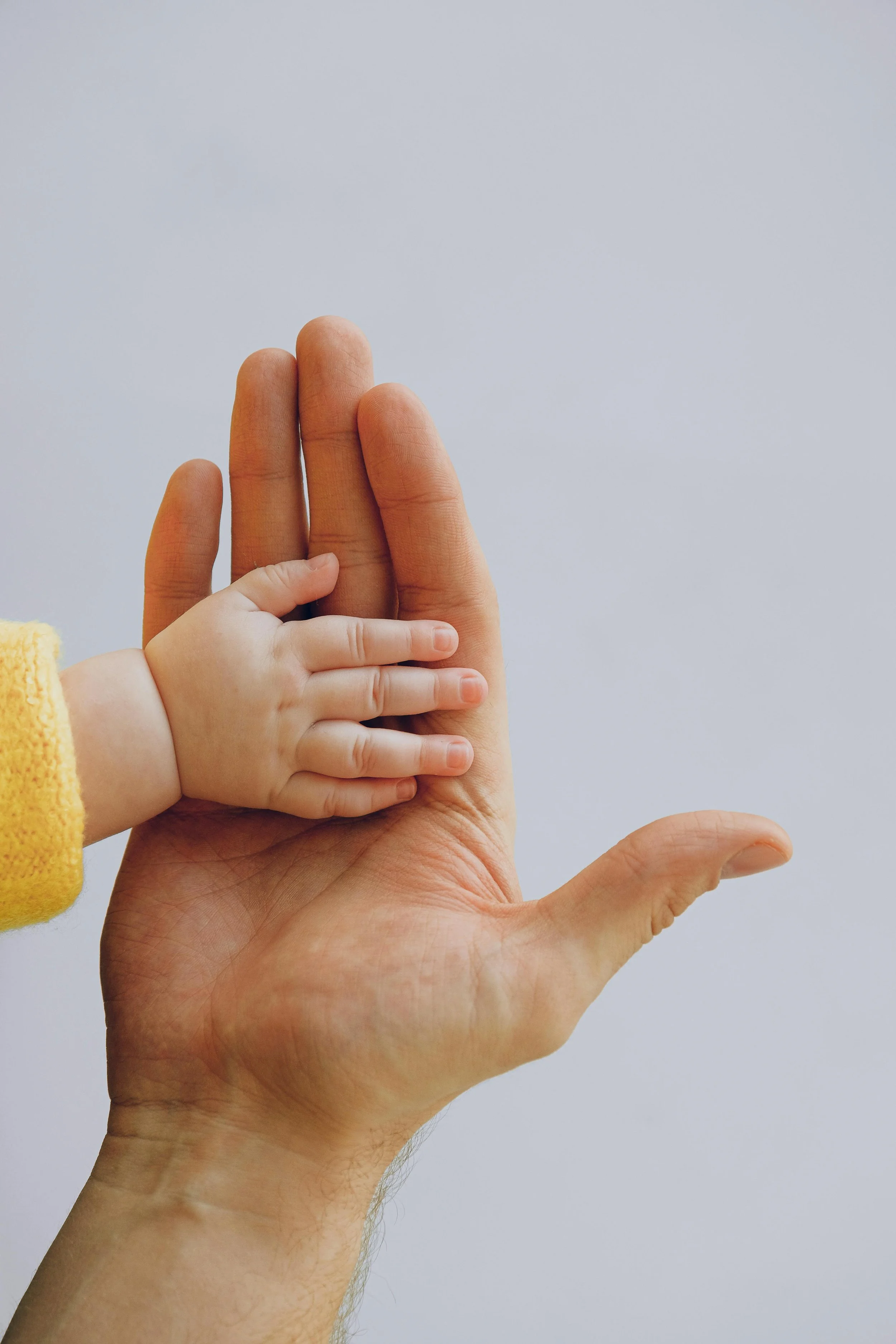 A large adult hand with medium brown skin is making a fist, into which a small child's hand with light skin and tiny fingers is reaching from the left side in a gesture of holding or support against a plain, light gray background.