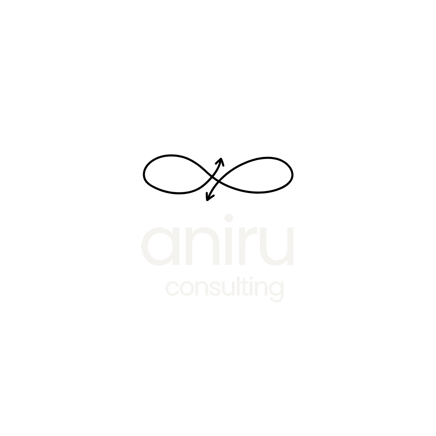 aniru consulting Anita Buholzer 