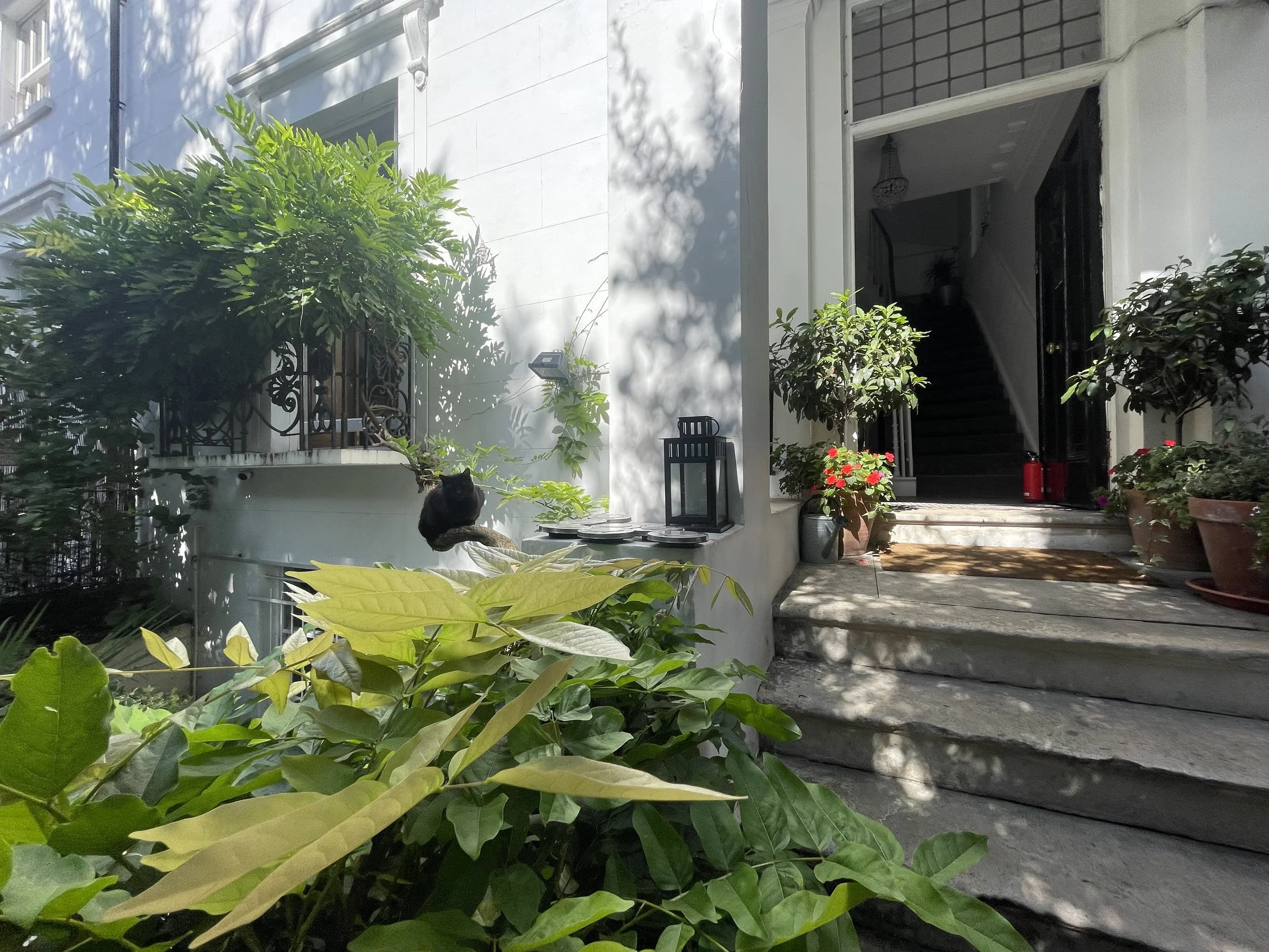 Central Victorian House interior | Quiet guesthouse stay in Camden Town