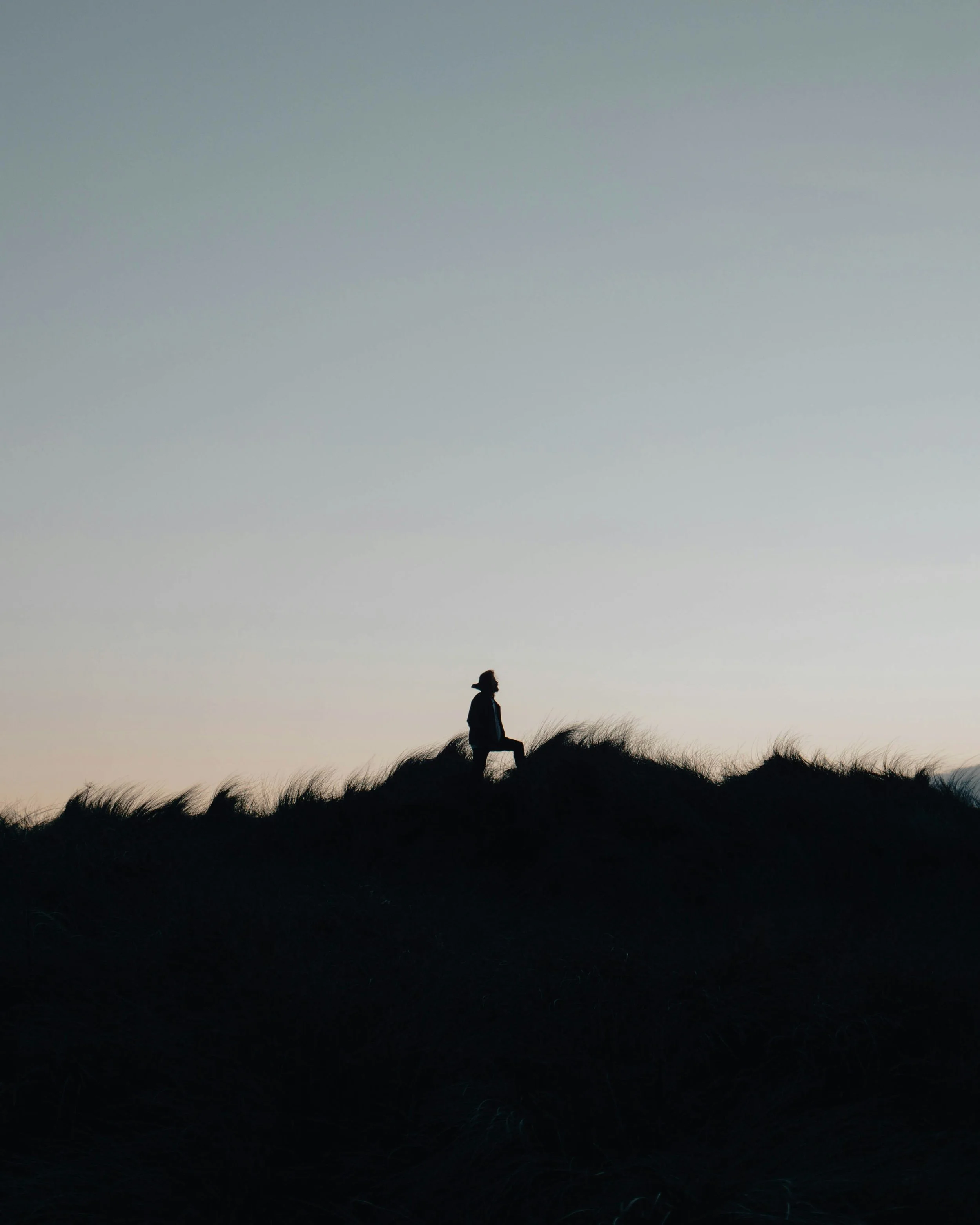 Silhouette of a person standing on a hill at sunset or sunrise, with tall grass in the foreground and a clear sky above.