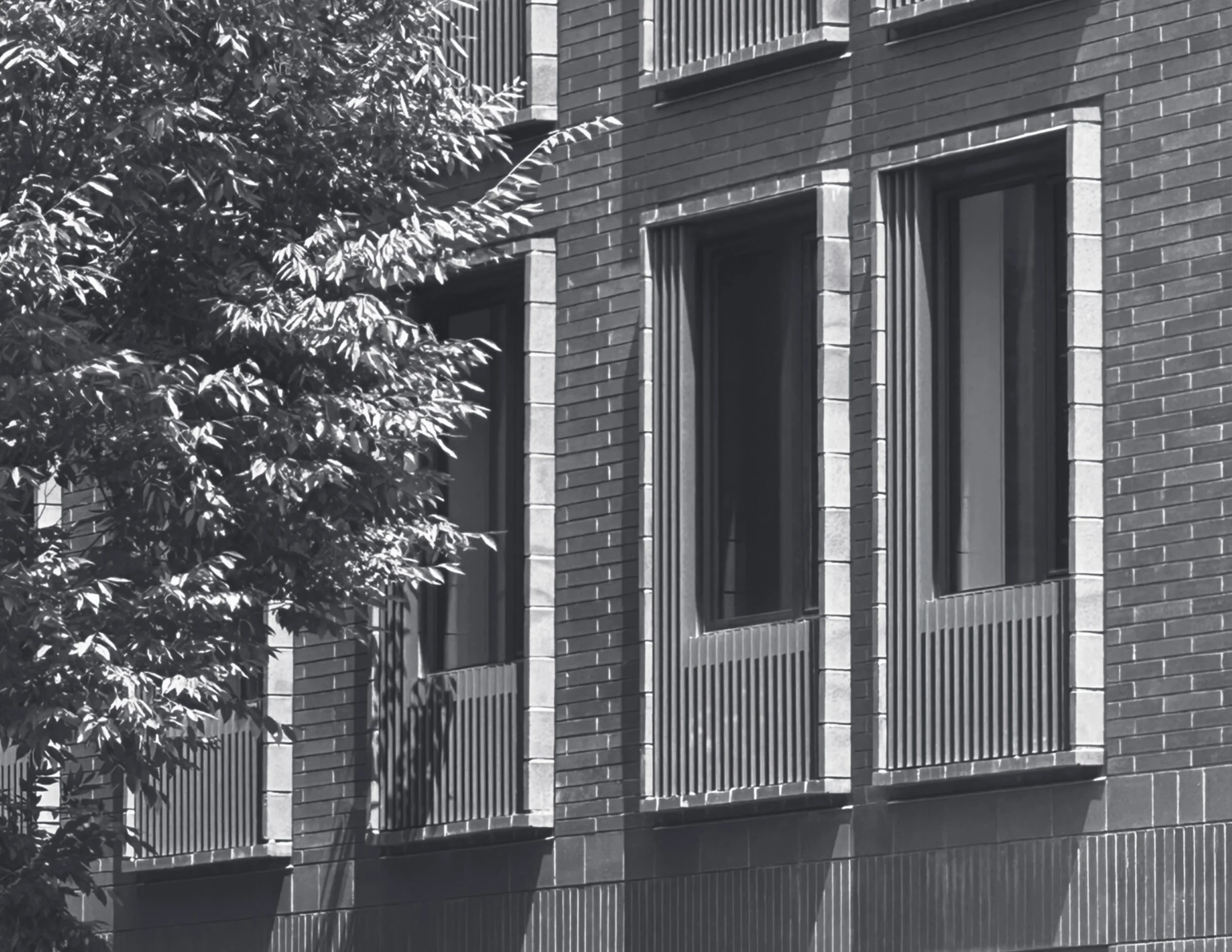 Black and white photo of a brick building with vertical window bars and a row of trees in front.