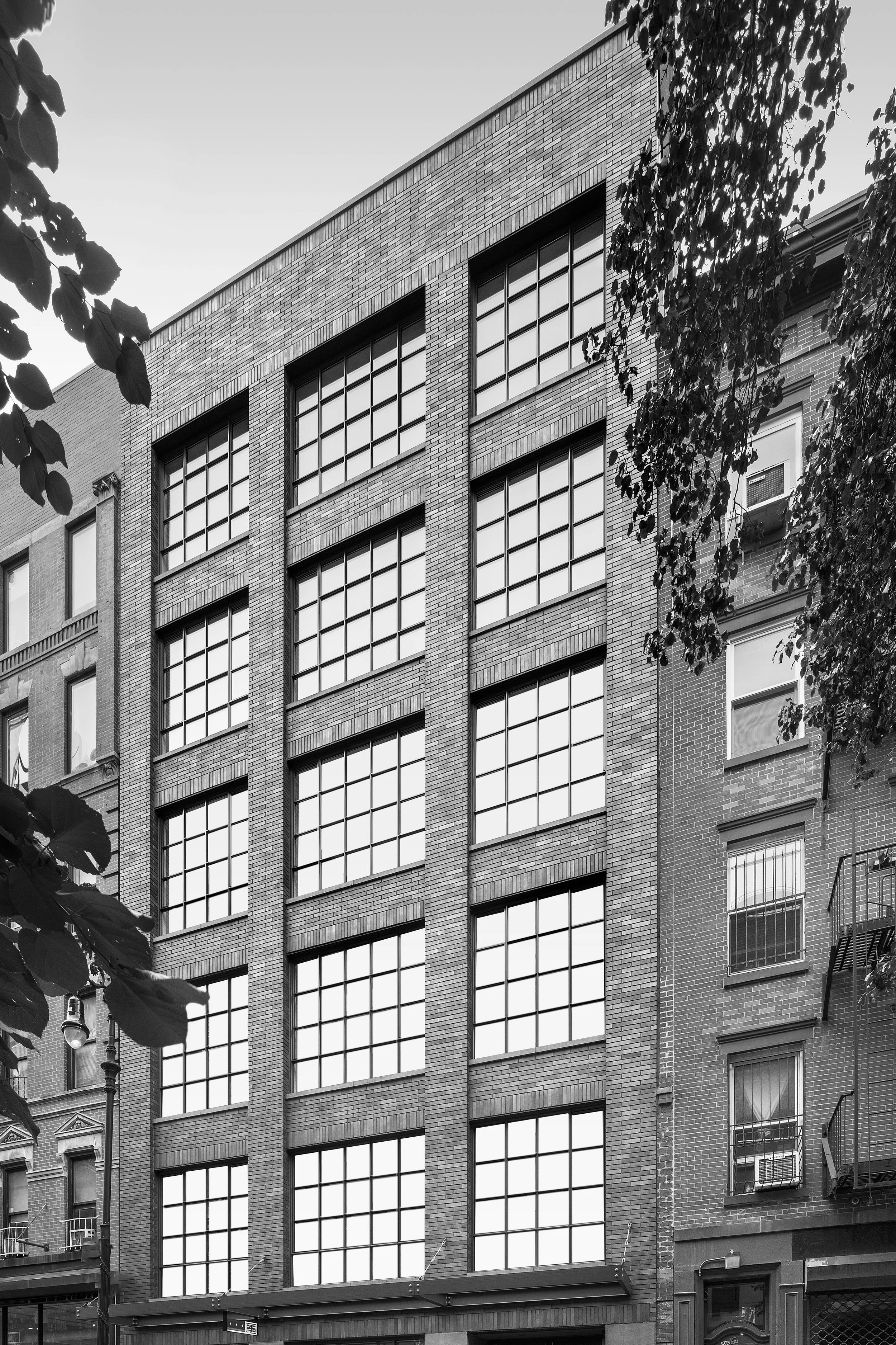 Black and white photo of a mid-rise brick building with grid-like large windows, with tree leaves partially framing the image in the foreground.
