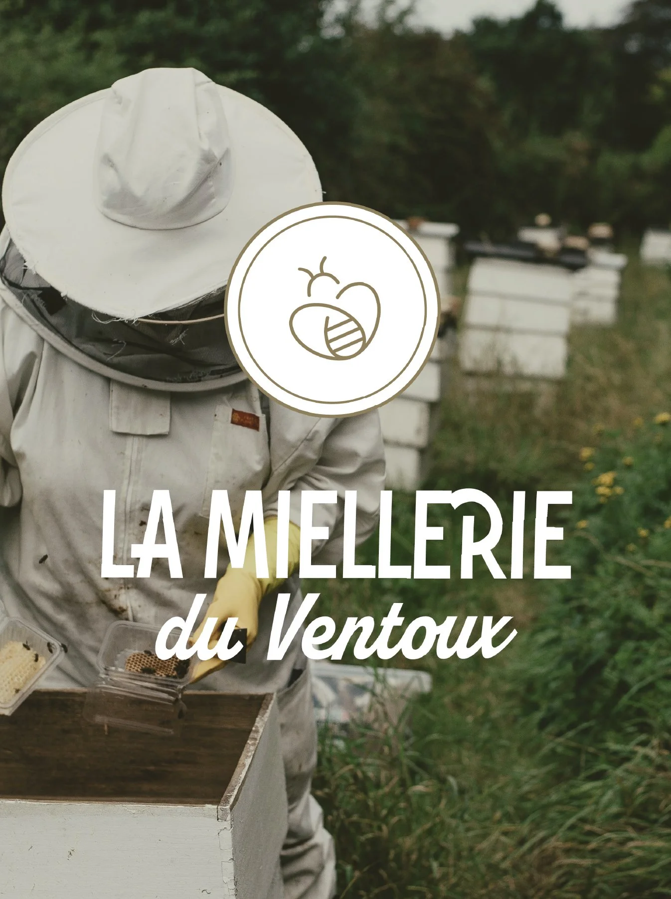 Une personne en tenue de protection de rucher, récoltant du miel dans un environnement naturel avec des ruches en arrière-plan, et par dessus le logo de La Miellerie du Ventoux.