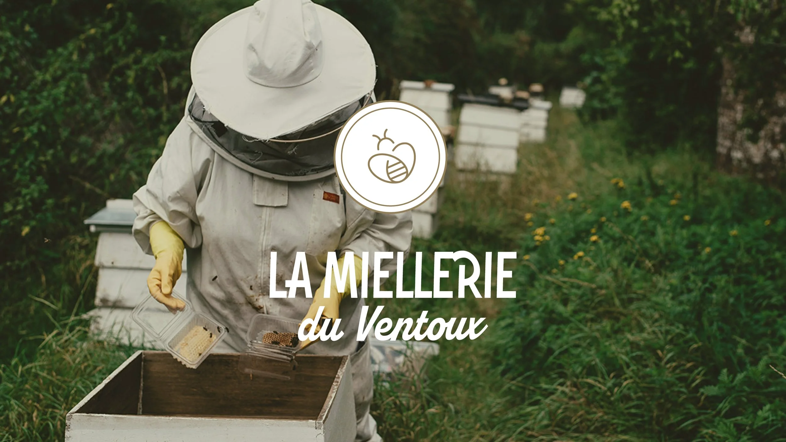 la-miellerie-du-ventoux-logo-identite-visuelle-2.jpg