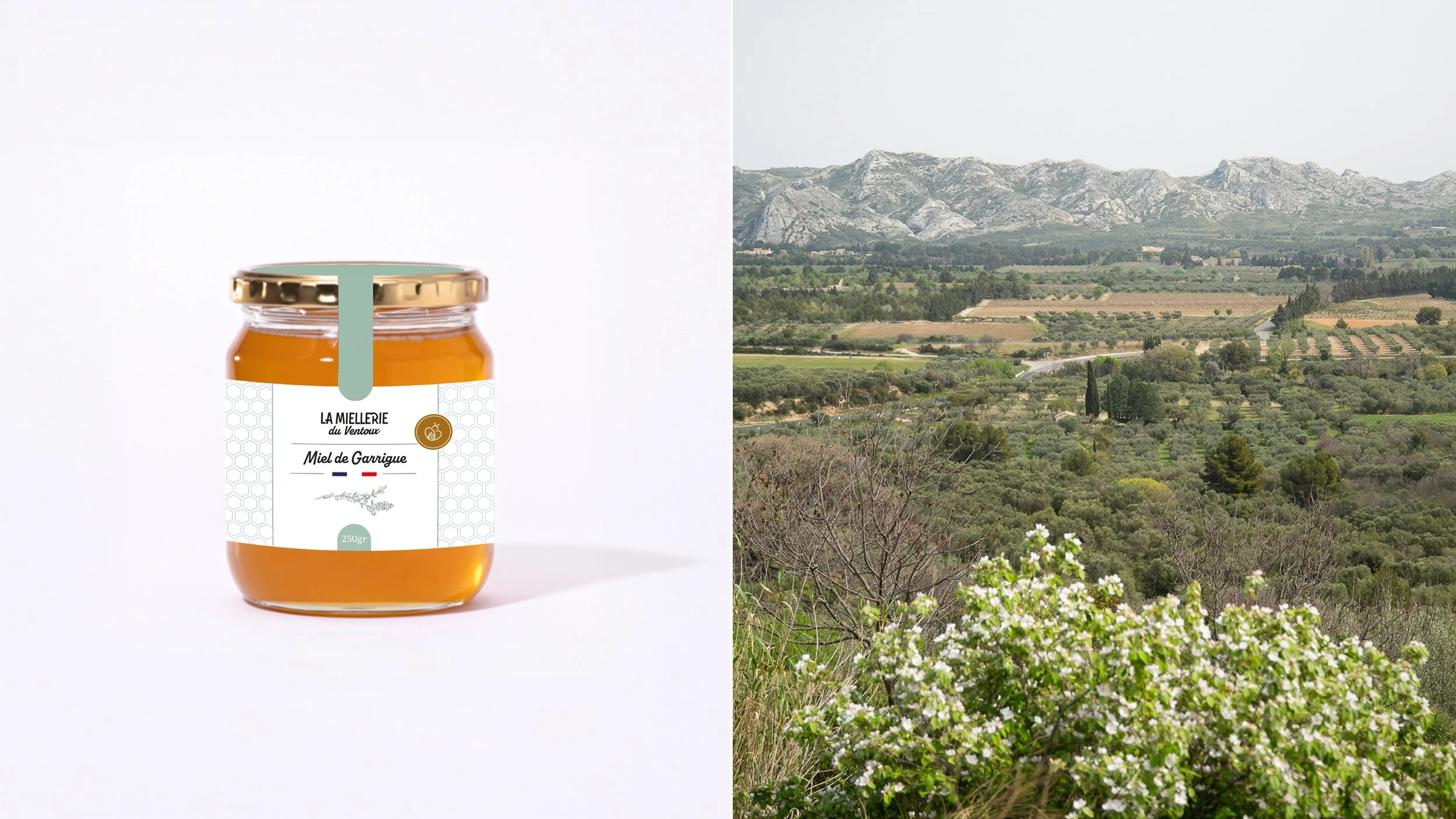 la-miellerie-du-ventoux-identite-visuelle-packaging-miel-provence.jpg